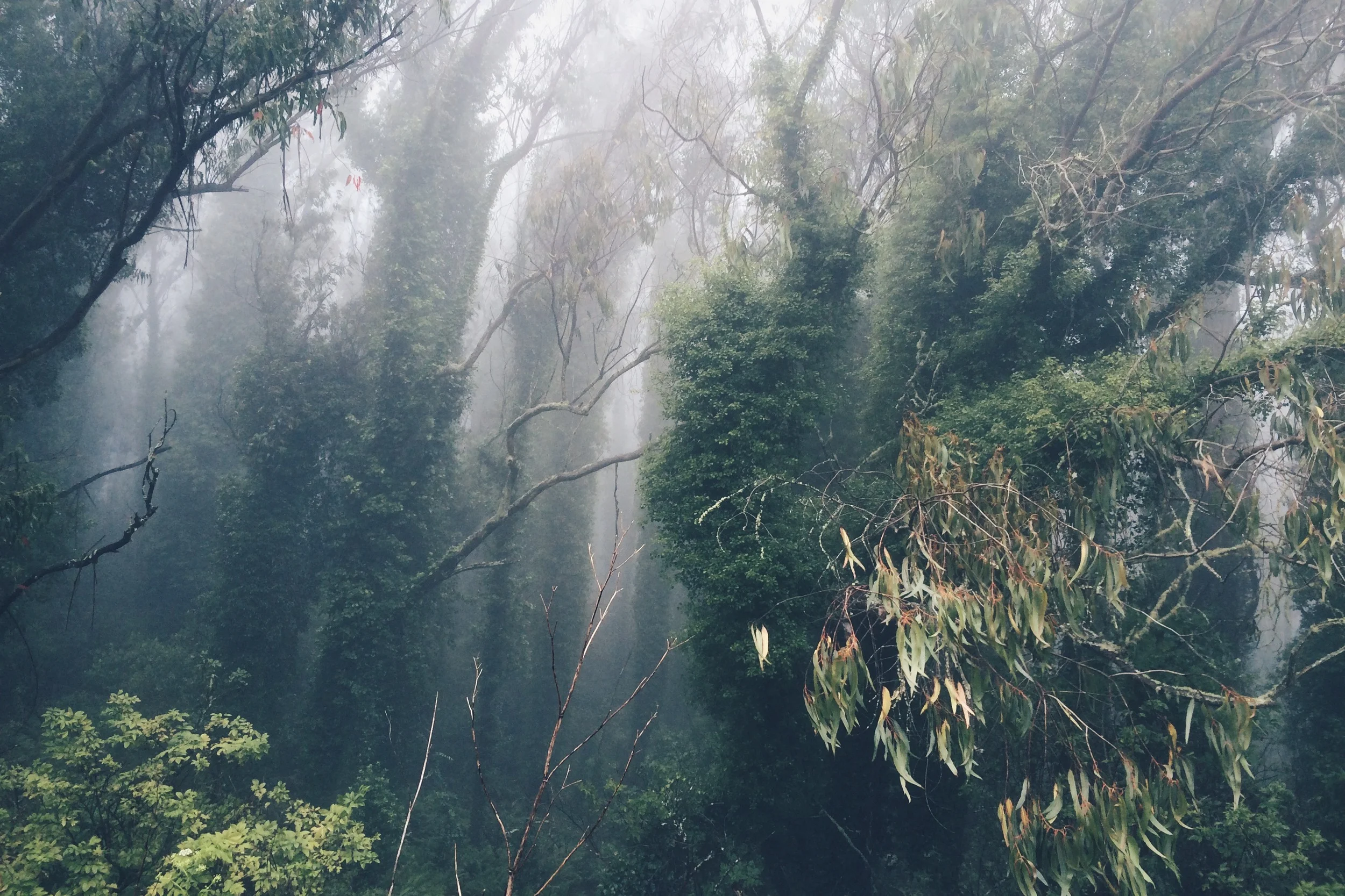 vsco-photo-2.jpg