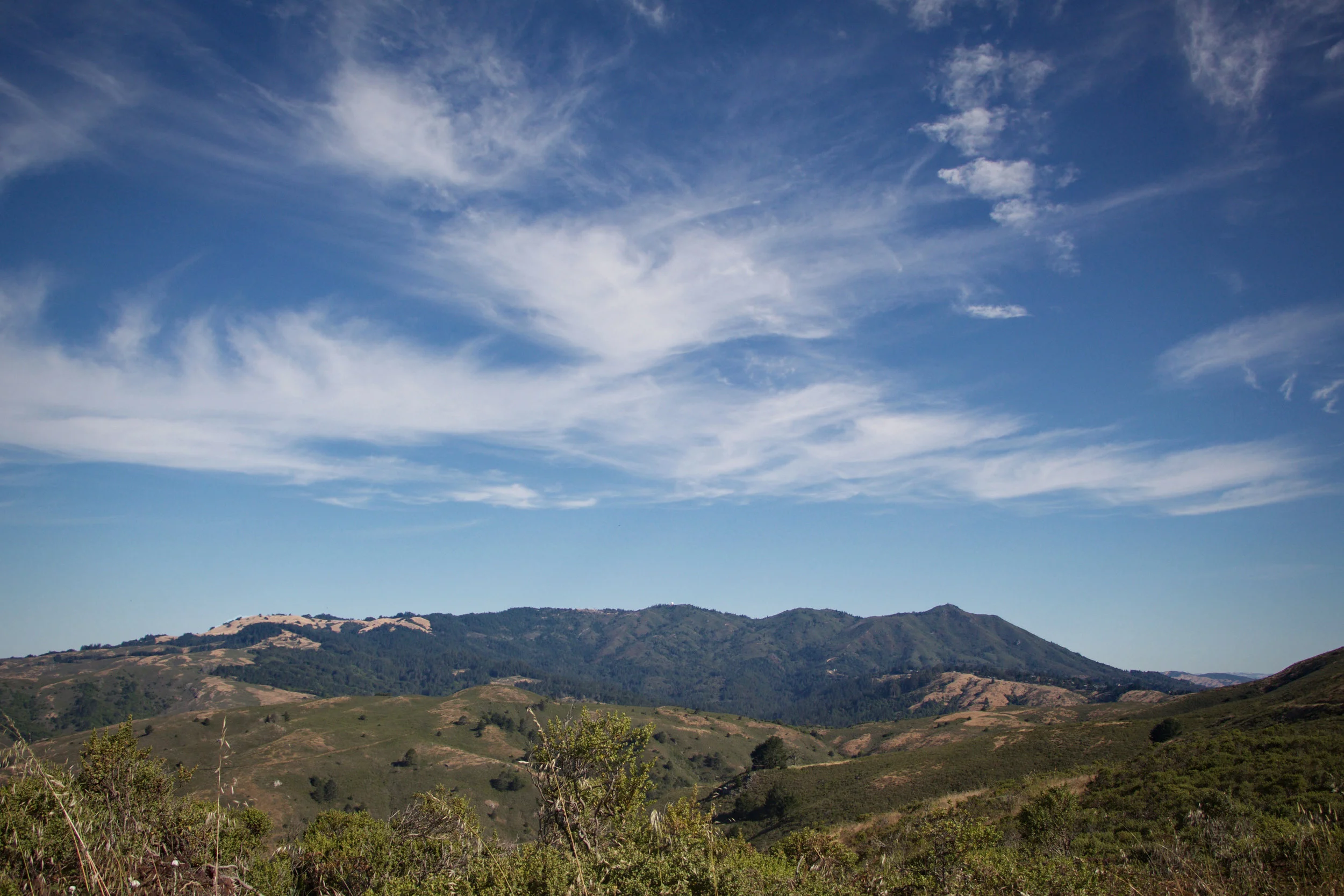 01_henry_mttam.jpg