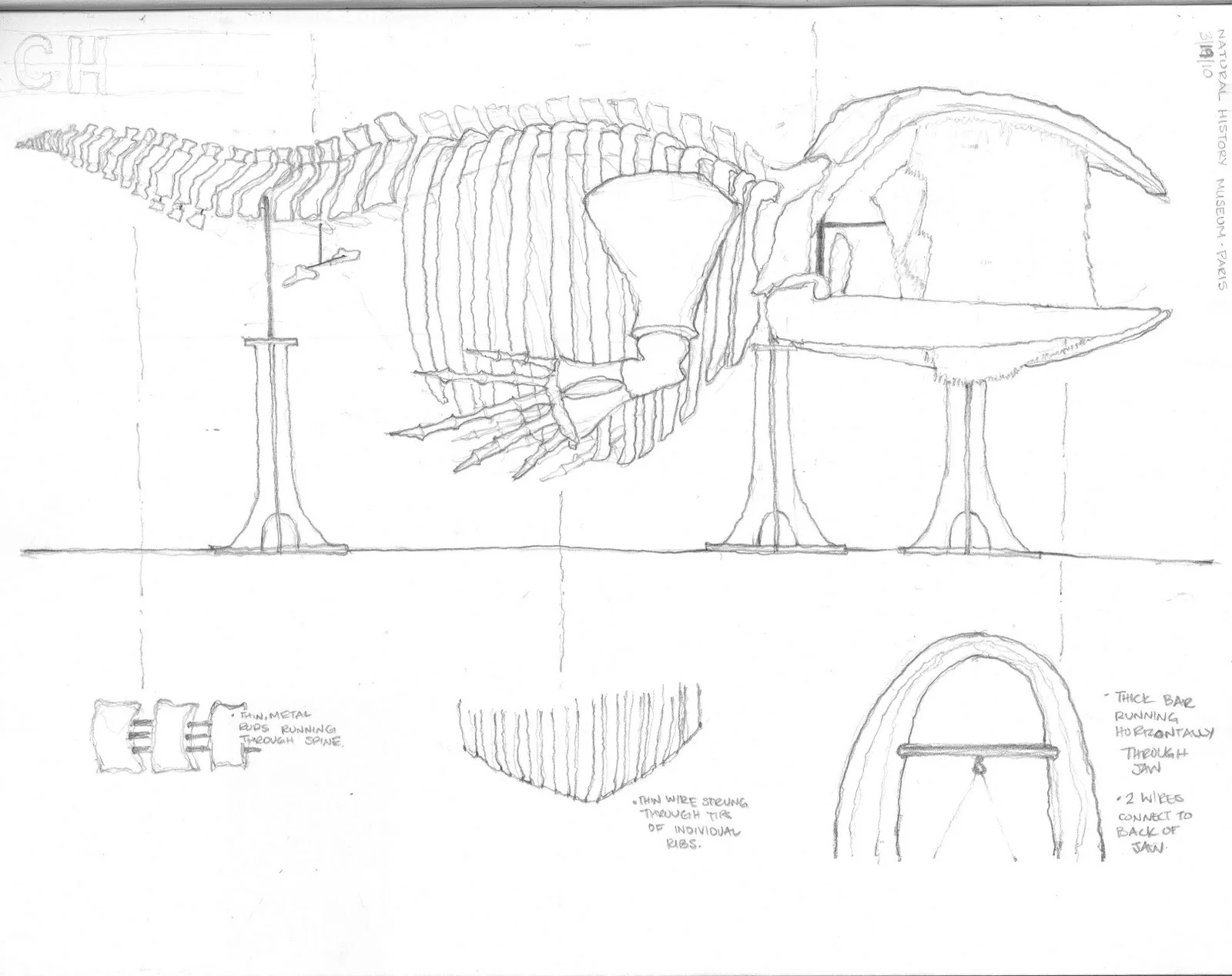  Muséum national d'Histoire naturelle; exhibition study 