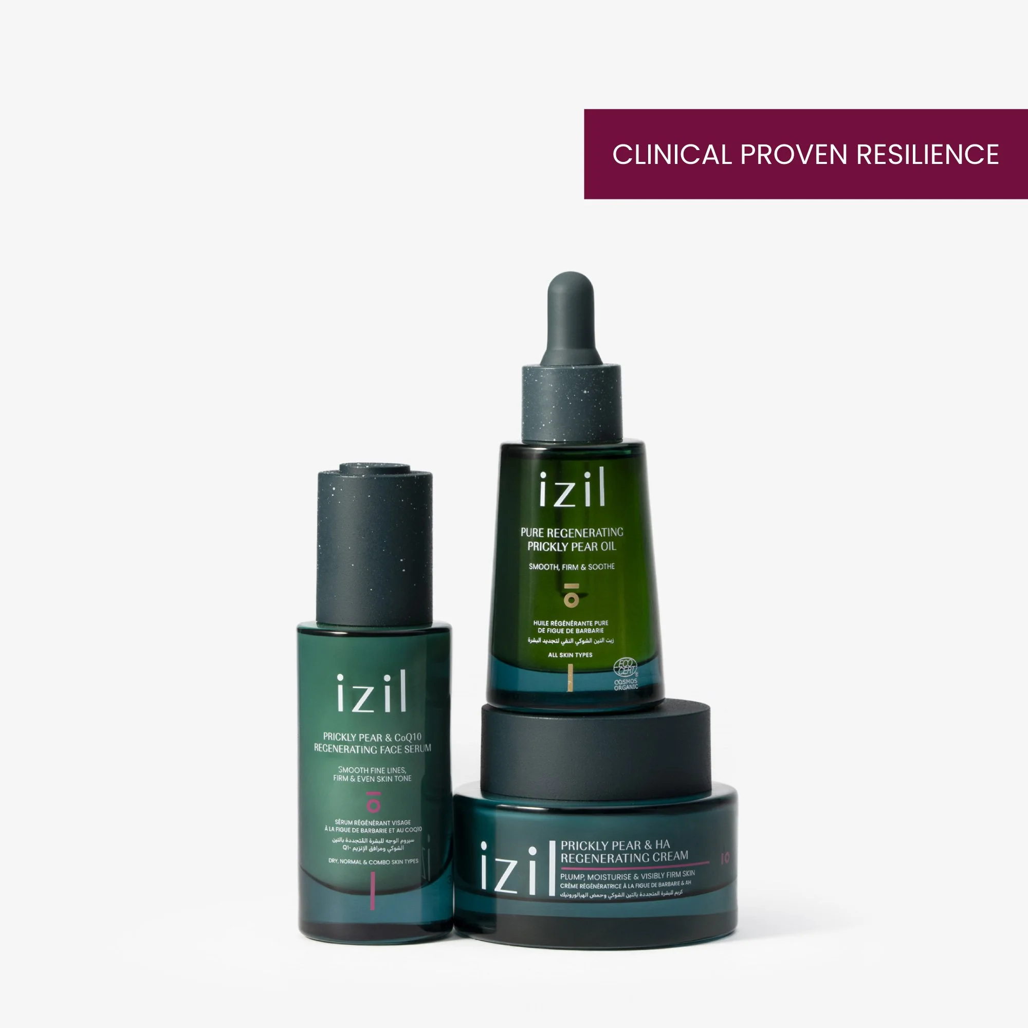 Regenerating PDP TRIO_card 1.jpg