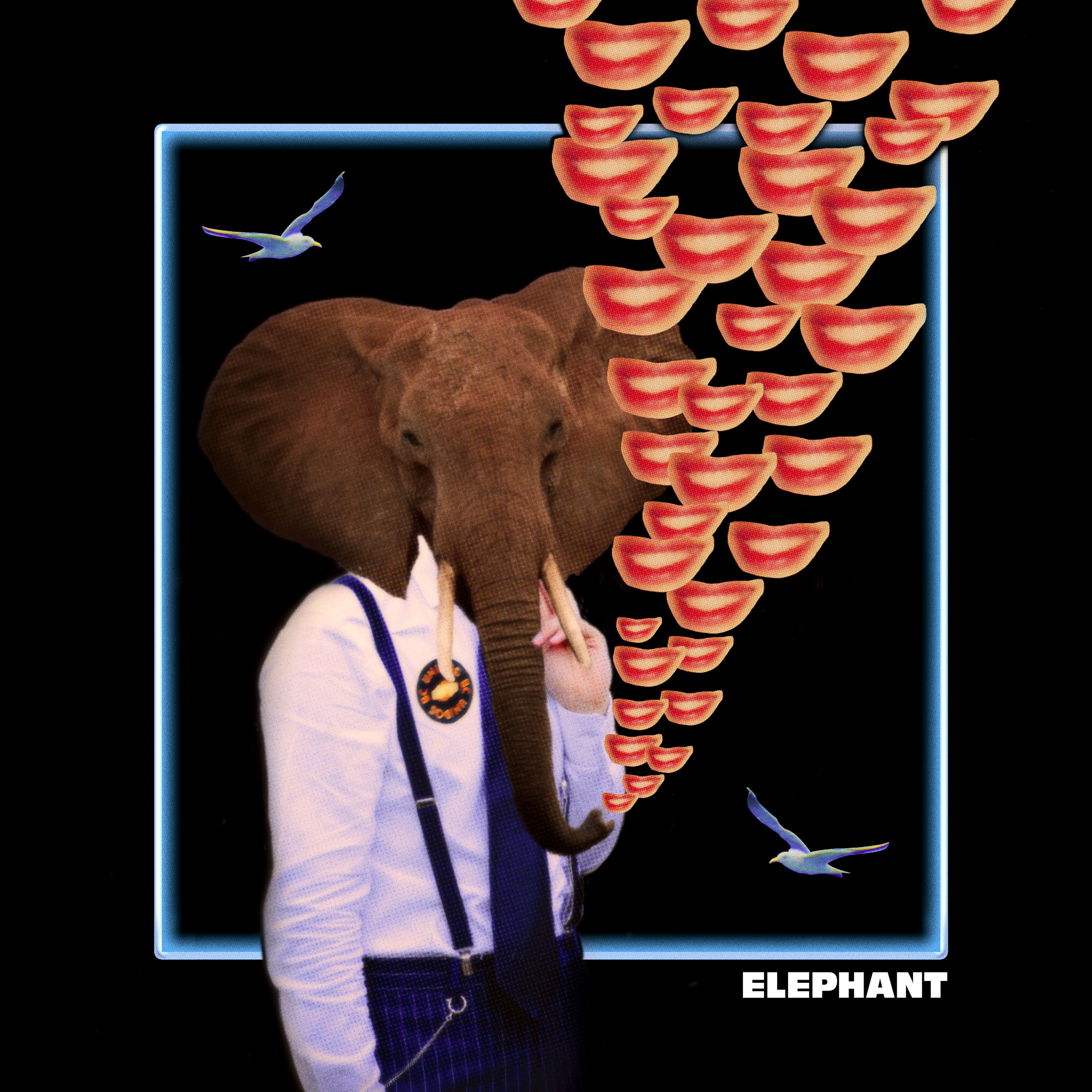 ASL2_Elephants.jpg