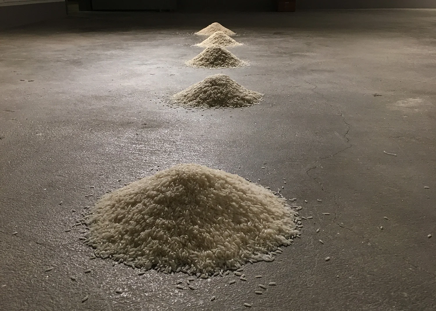 5 Jenis Beras 2017 Jasmine, Bismati and long grain South American rice Installation