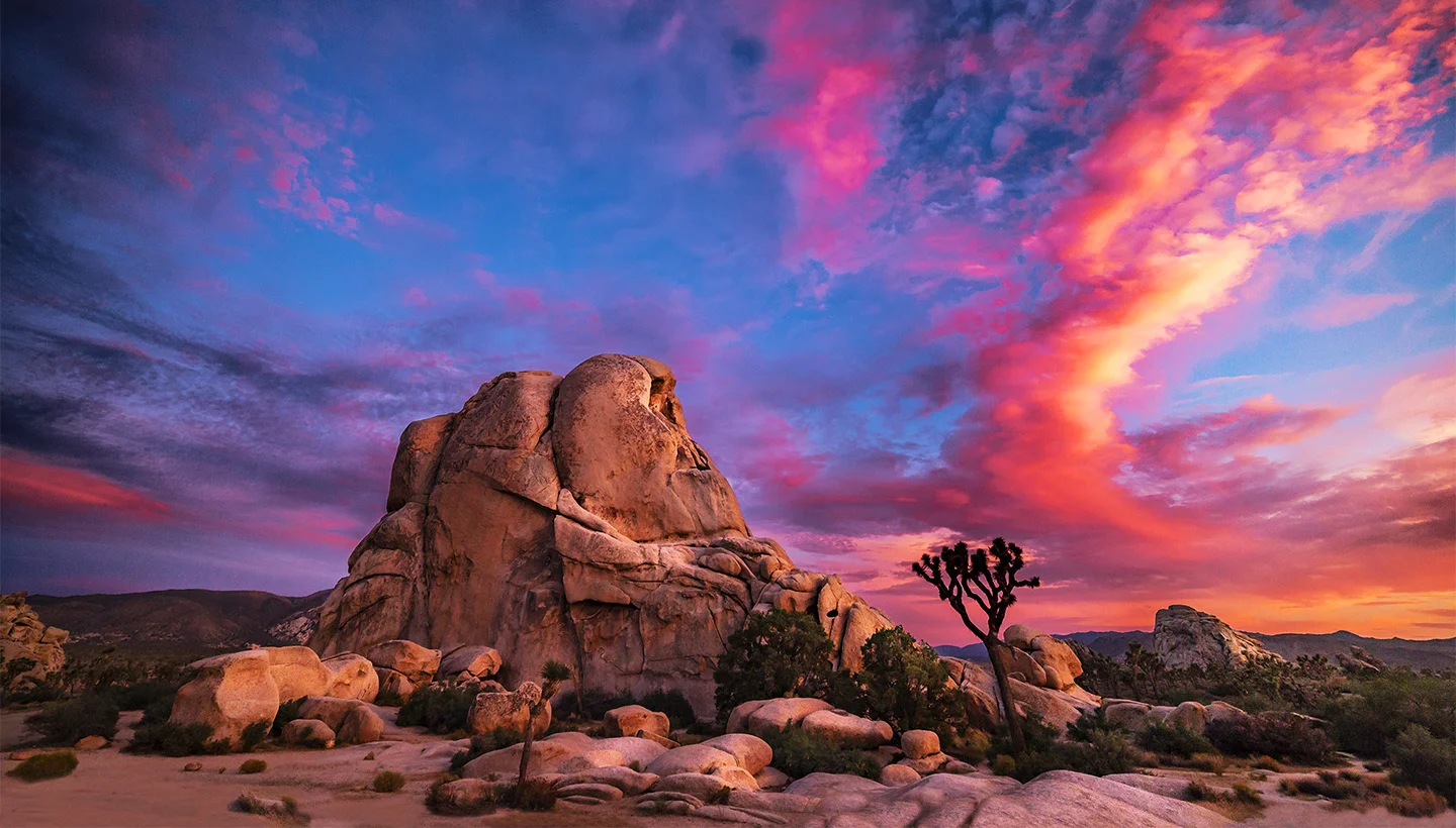 Joshua Tree Workshops