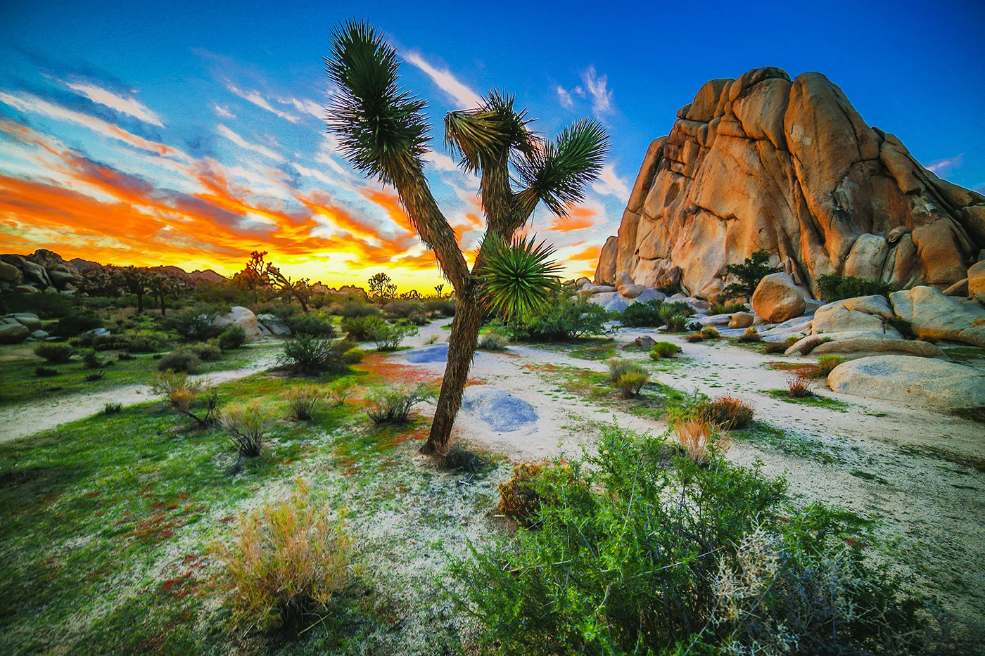 Sunset