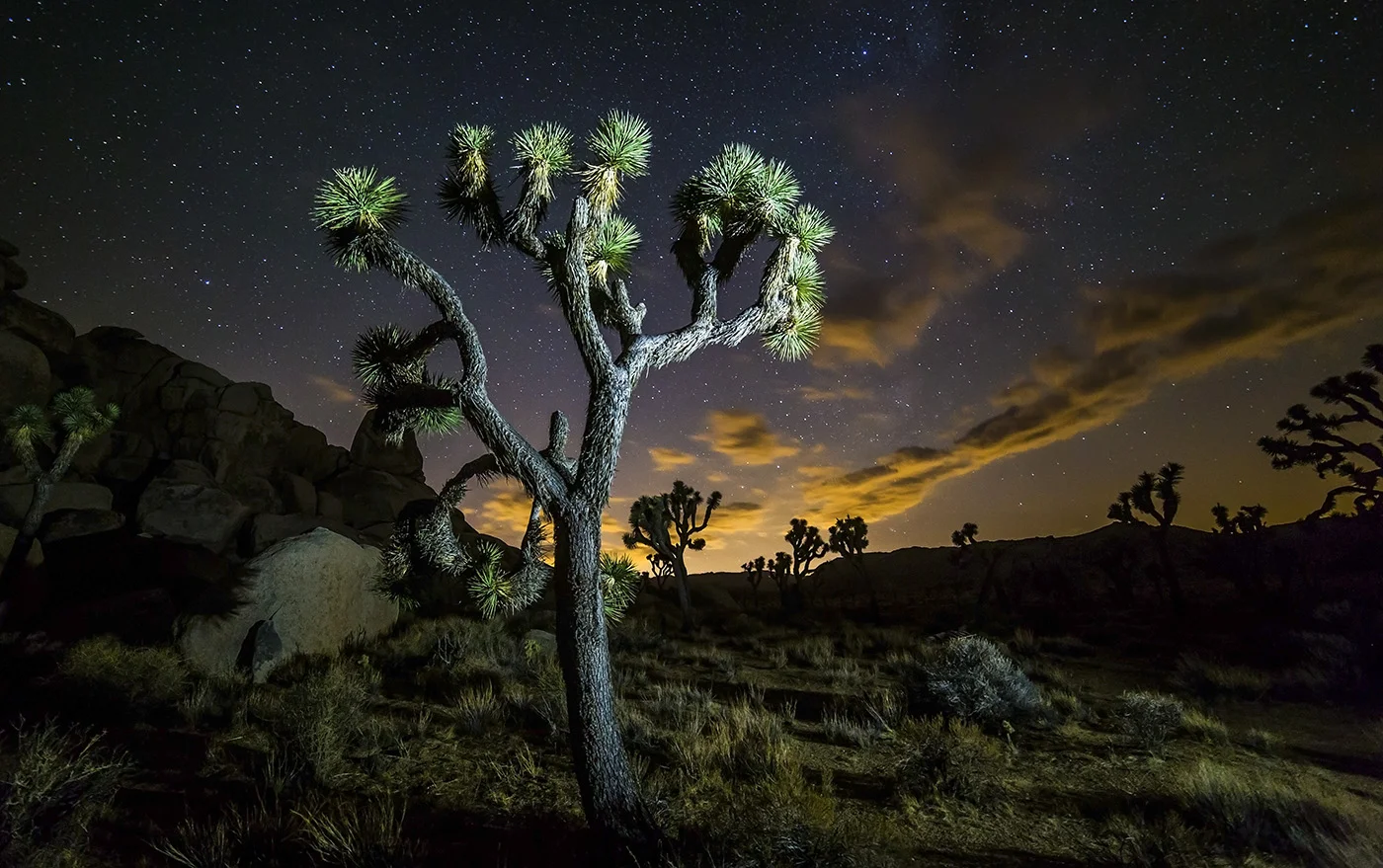 Starry Night