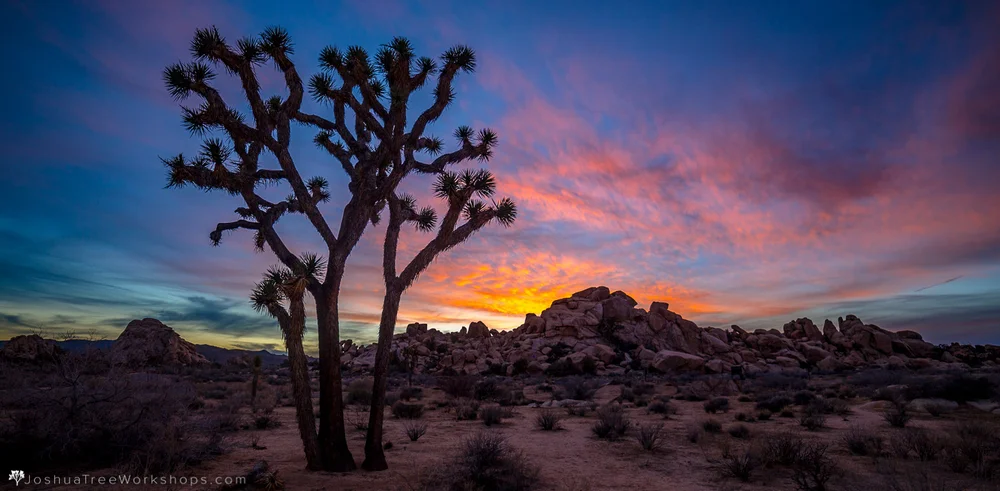 3 Night Timelapse Workshop Jan 10 13 16 Joshua Tree Workshops