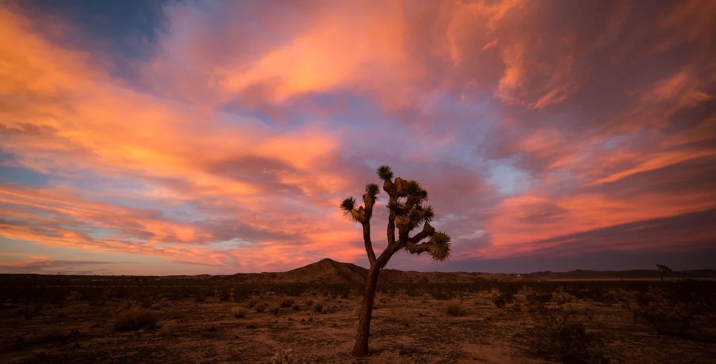 5 NIGHT TIMELAPSE W/Motion - JULY - 17-22, 2016