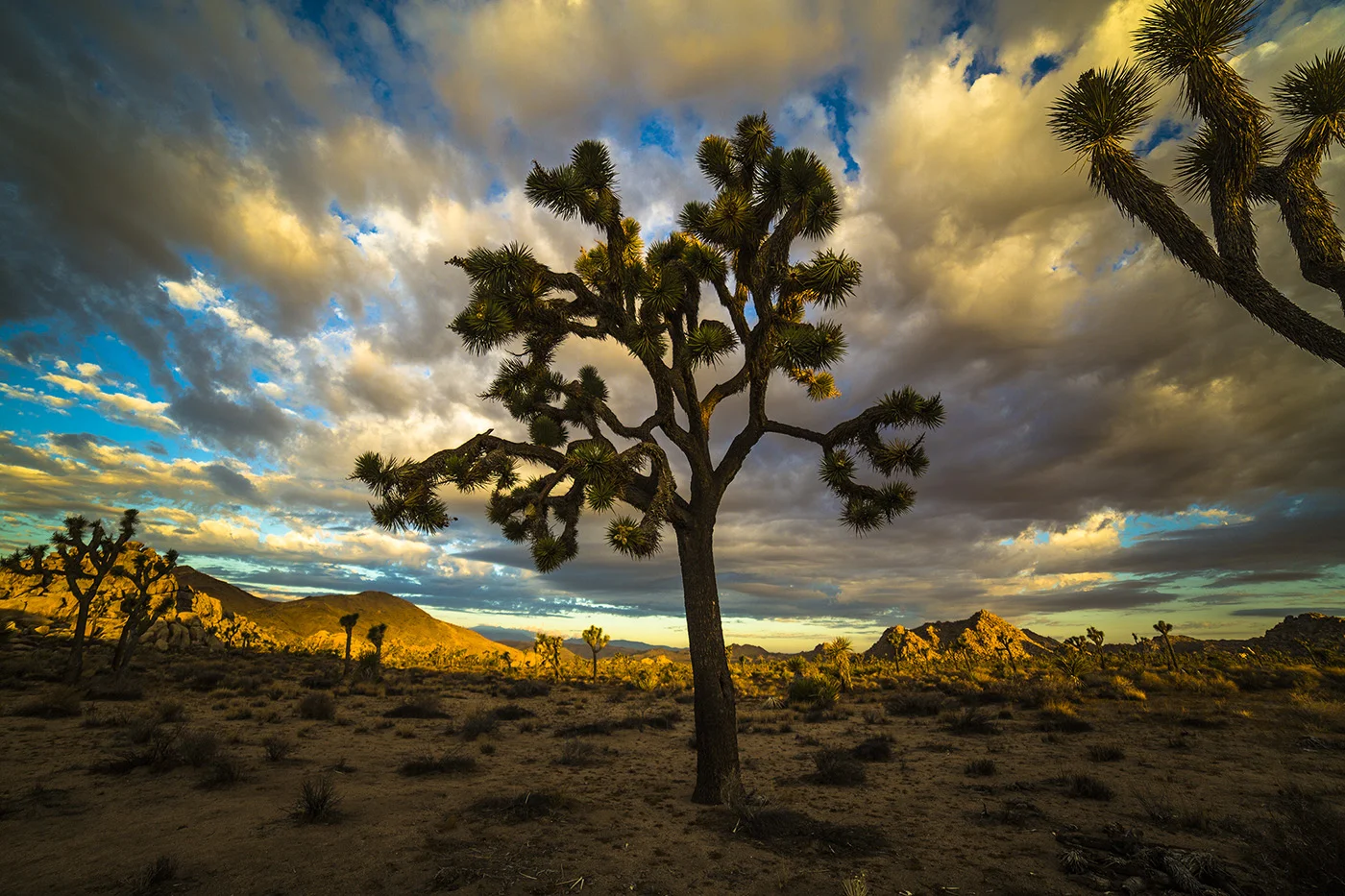 NEW MOON TIMELAPSE WORKSHOP - DEC 27-30, 2016