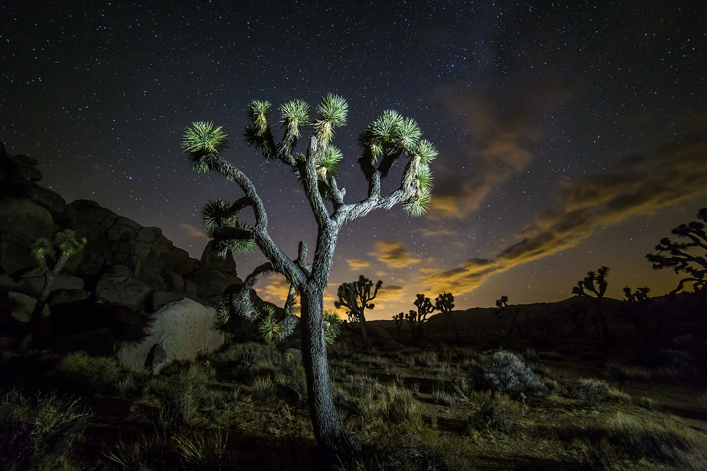WEEKEND TIMELAPSE WORKSHOP - DEC 9-11, 2016