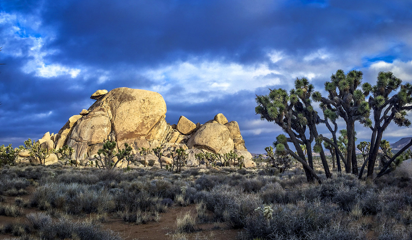 3 Night Landscape/Astro Photography Workshop - Feb 17-20, 2017