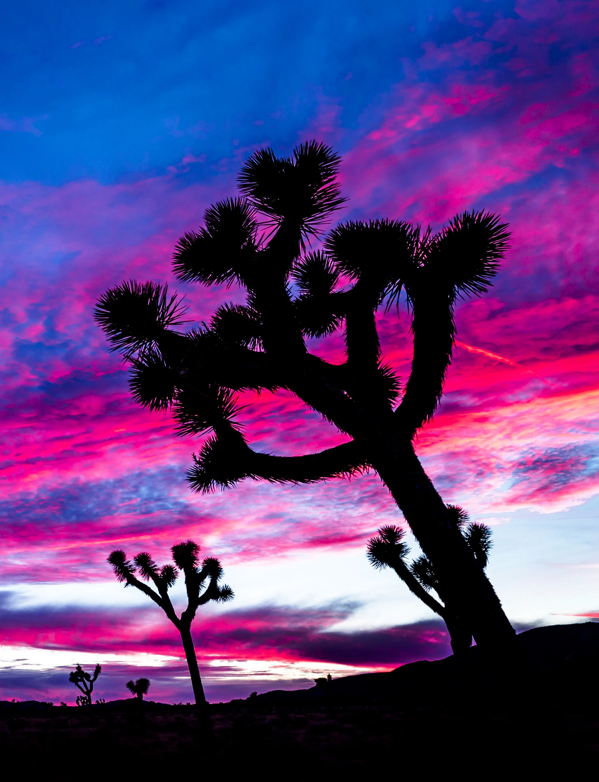 2018 Timelapse Film Festival