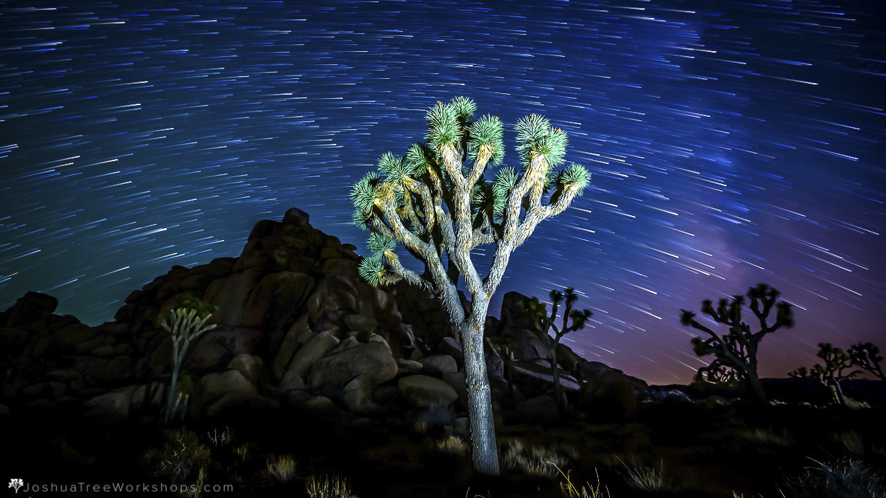 2019 Timelapse Film Festival - August 3, 2019 