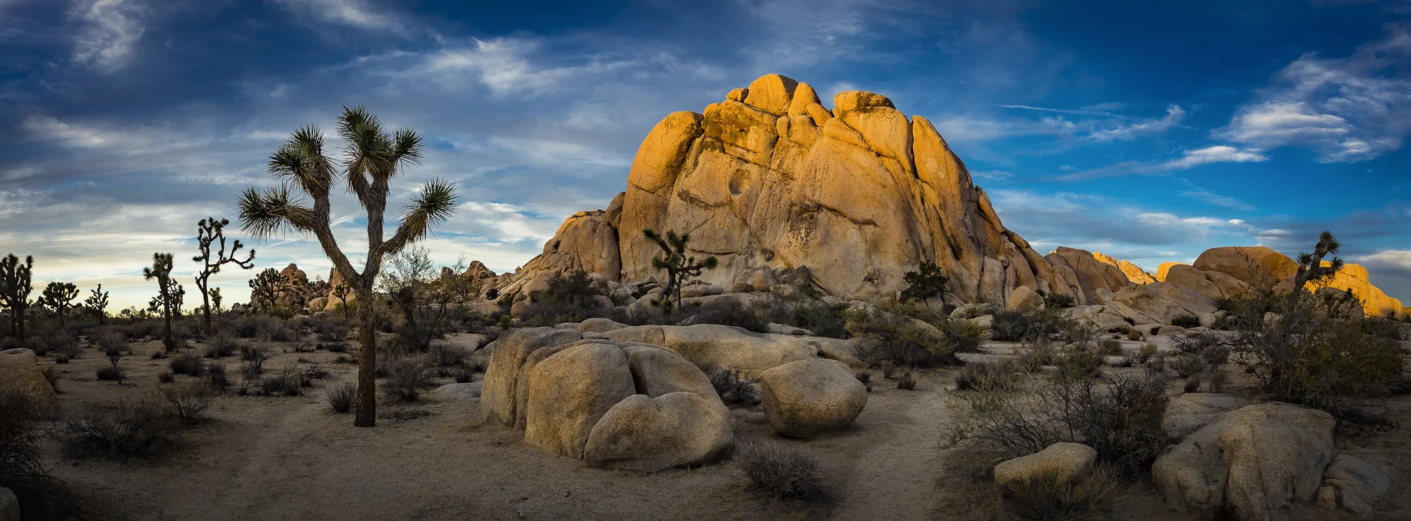 _R8A0003-Pano.jpg