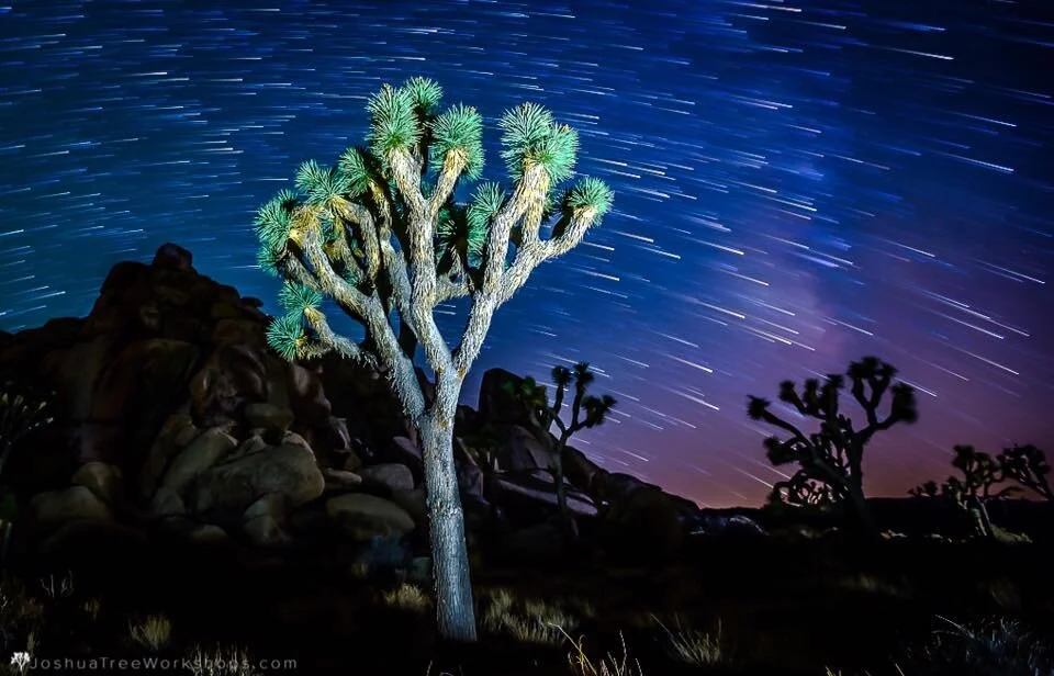 MOVED to 2021! 2020 Timelapse Film Festival - Saturday August 1, 2020