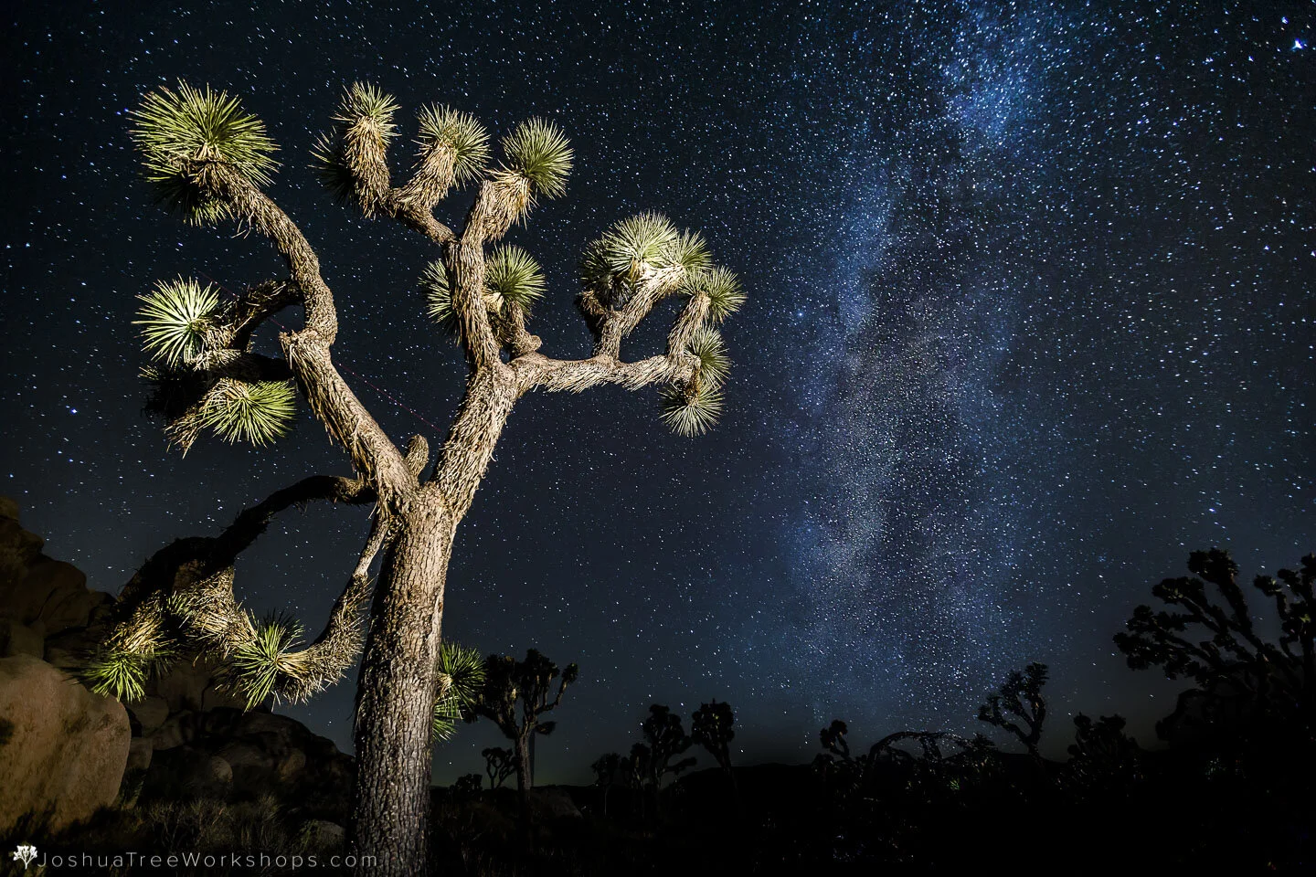 Joshua Tree Milky Way Photography Workshop (BnB) - Aug 10, 2020