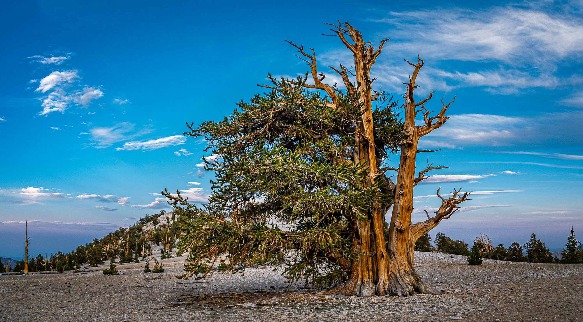 _DSC2383-Pano.jpg