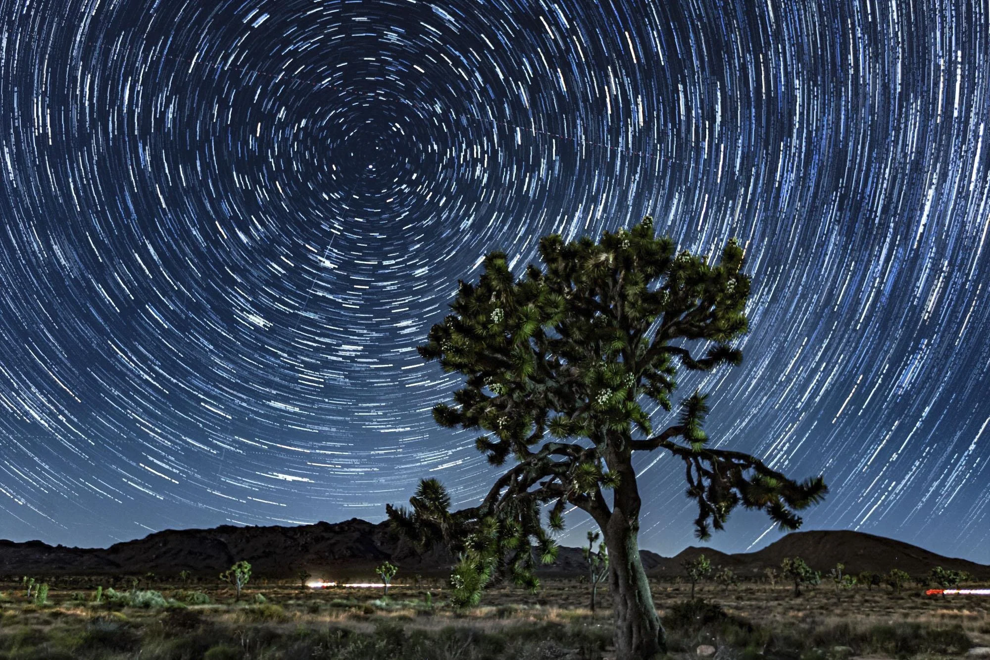 Star Trails Photography Workshop - January 29, 2022 - Saturday