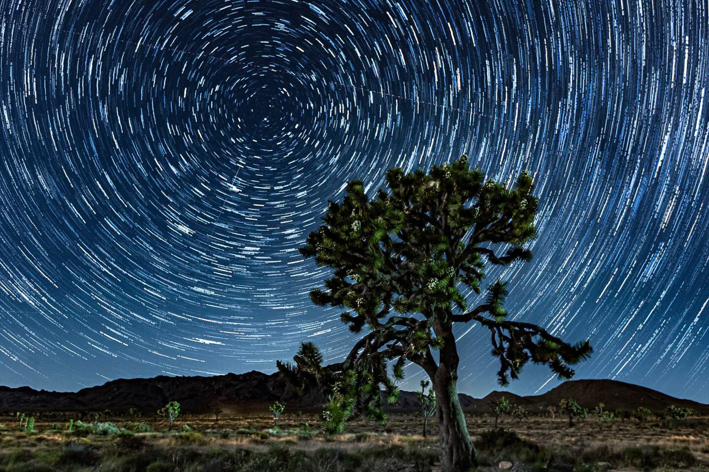 Star Trails Photography Workshop - January 9, 2021 - 6-10pm - Saturday