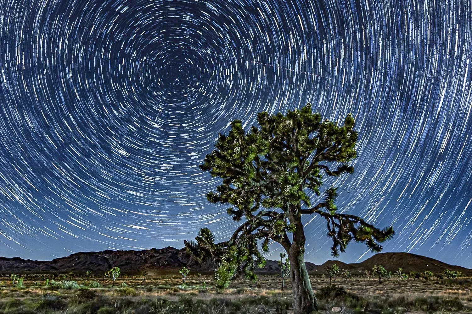 Star Trails / Night Photography Workshop - December 20, 2025 - 6-9pm