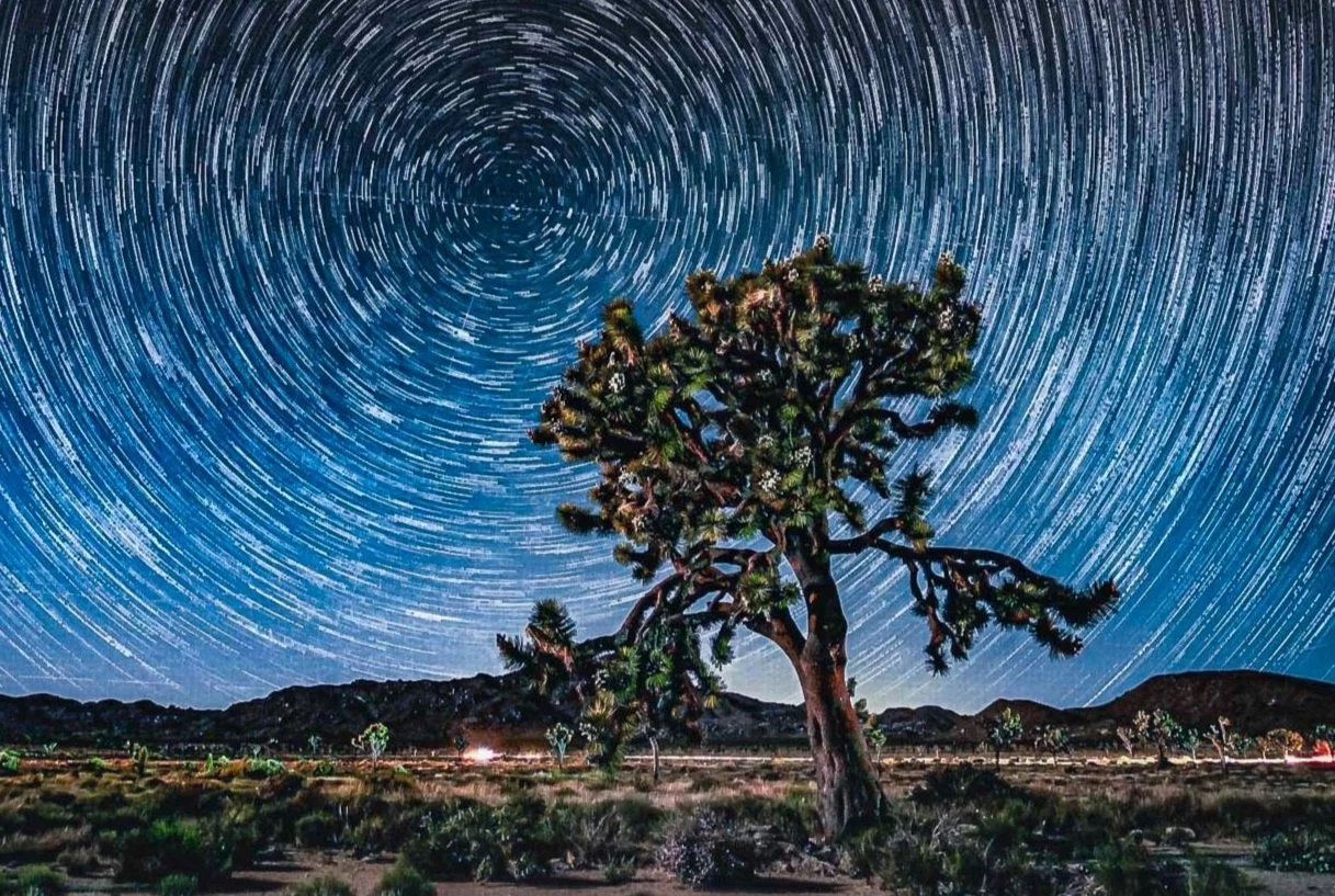 Joshua Tree Workshops - Milky Way & Timelapse Photography - Death
