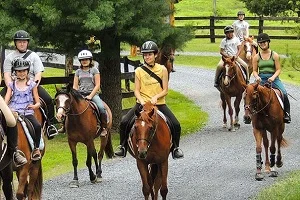 Pony - Camp Horizons 2.jpg