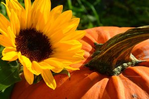 fall floral fun.jpg