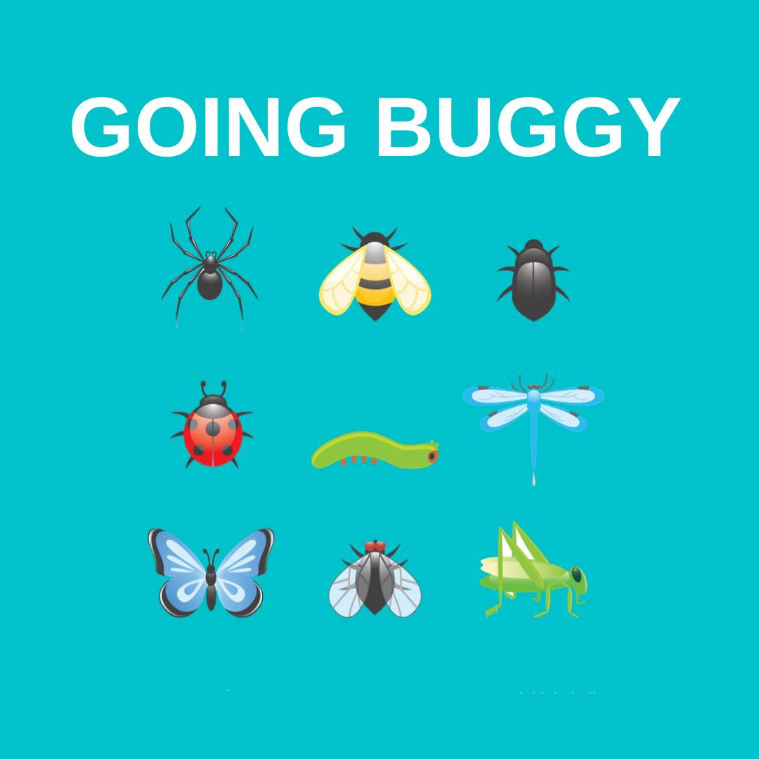 bug web badge.png