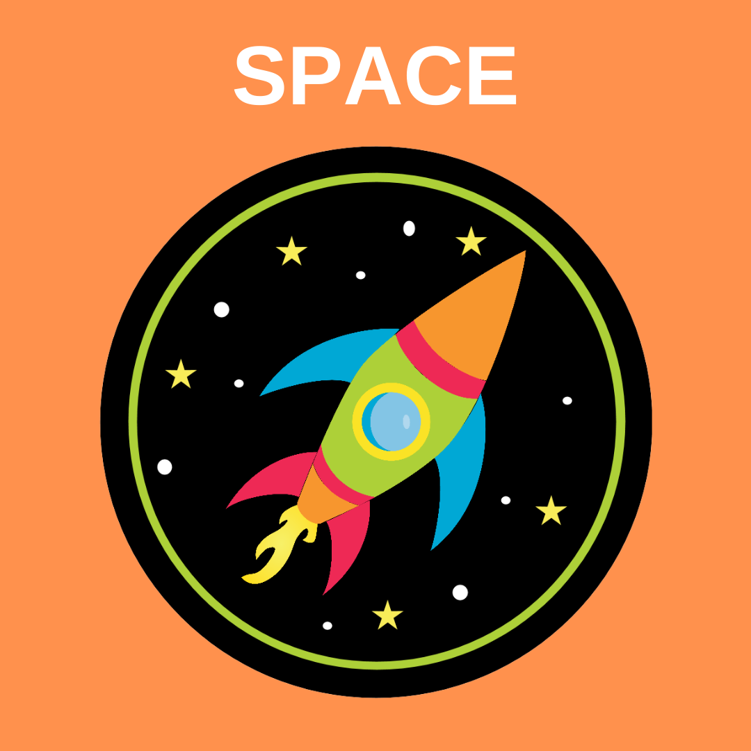 space web badge.png