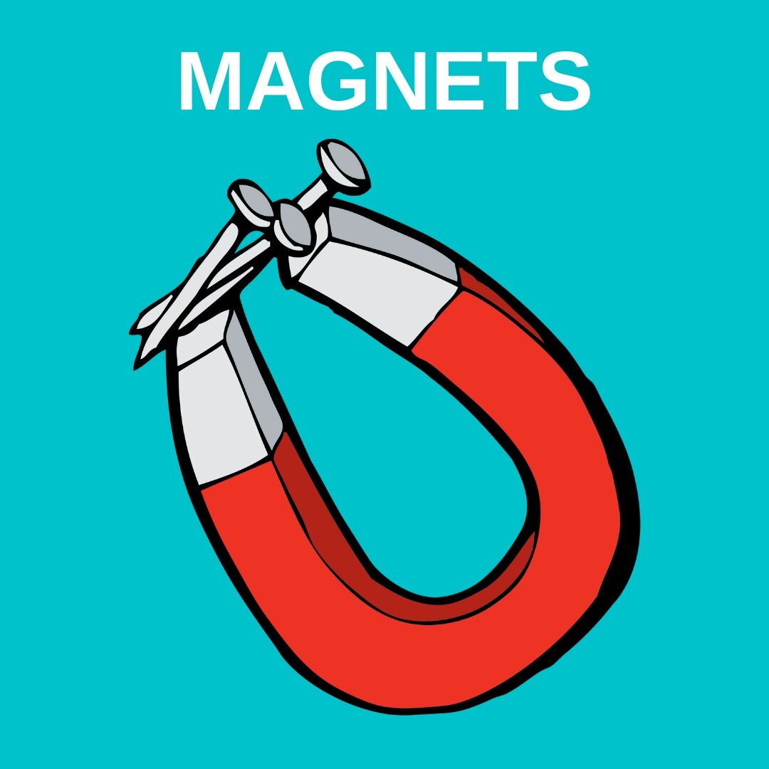 Magnet+web+badge.jpg