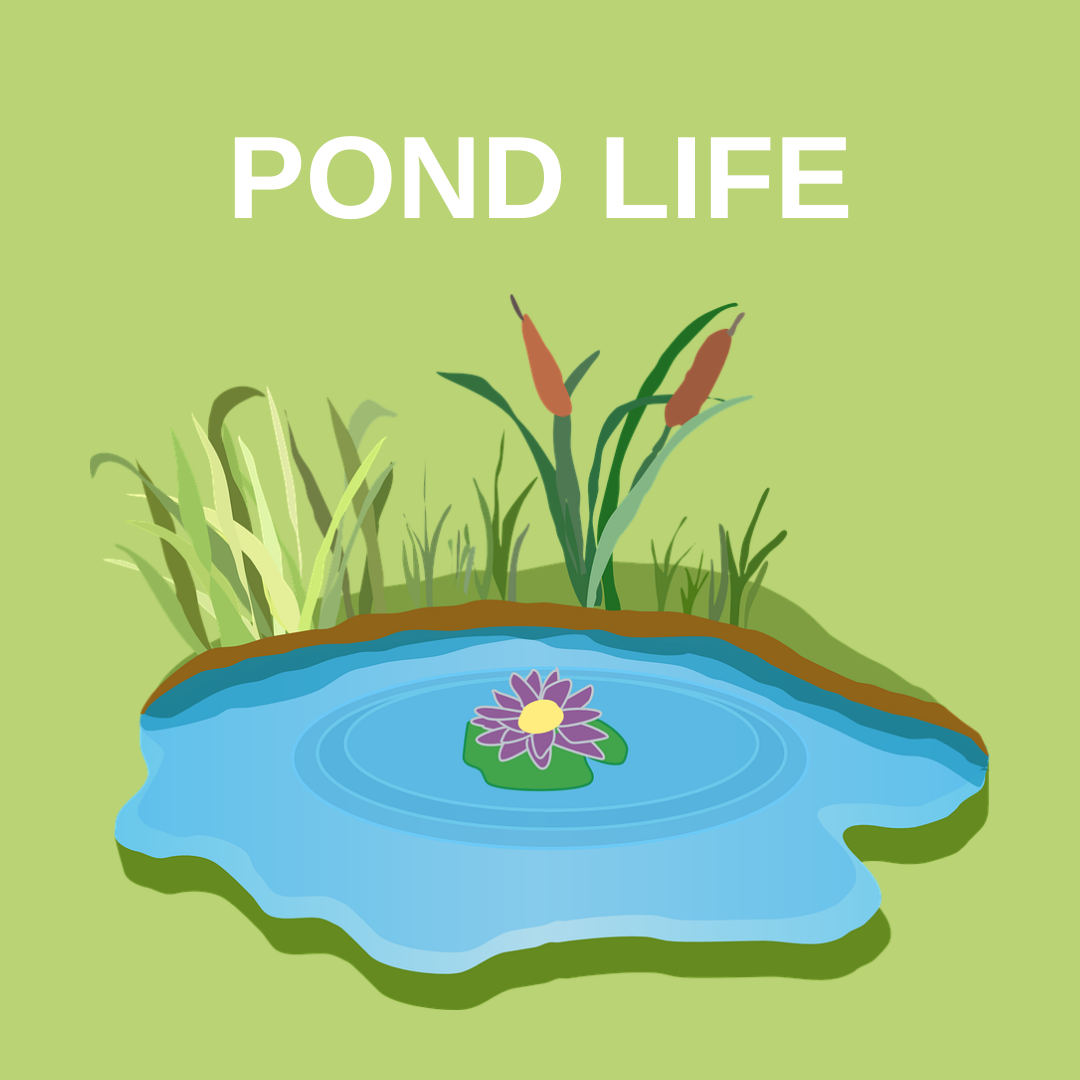 POND LIFE Web badge.png