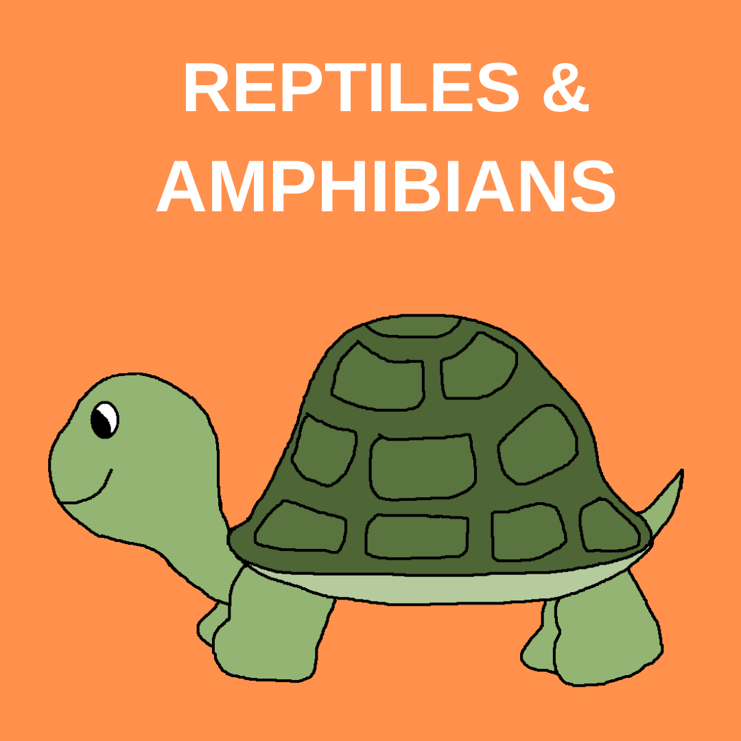 REPTILES & AMPHIBIANS web badge.png