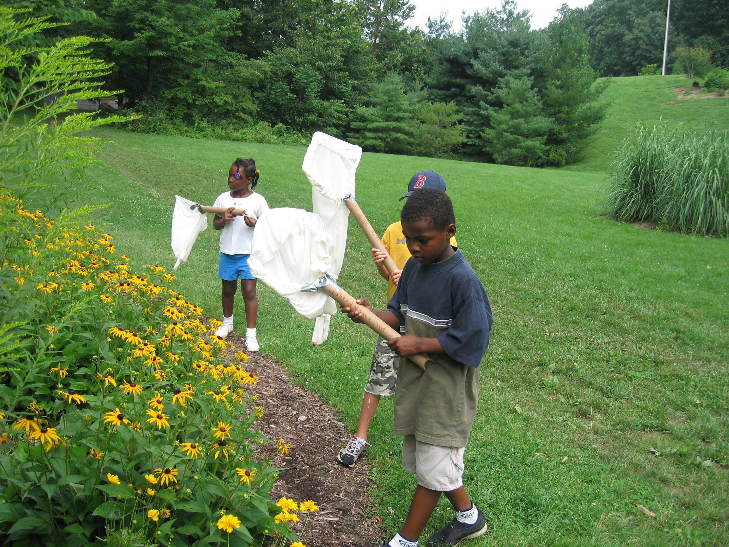  Searching for butterflies at the JMU Arboretum with nets we made in summer camp! 