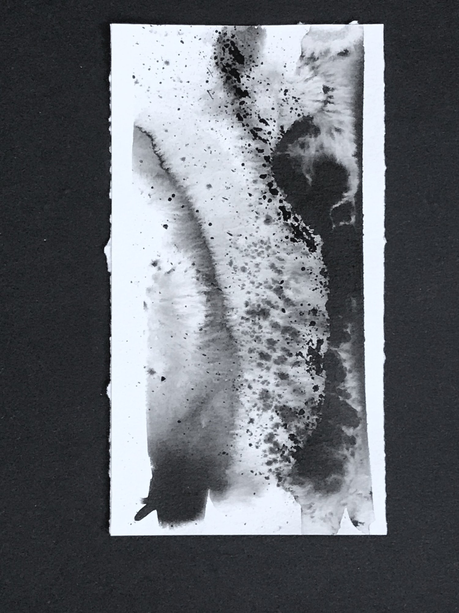 Indian Ink Painting