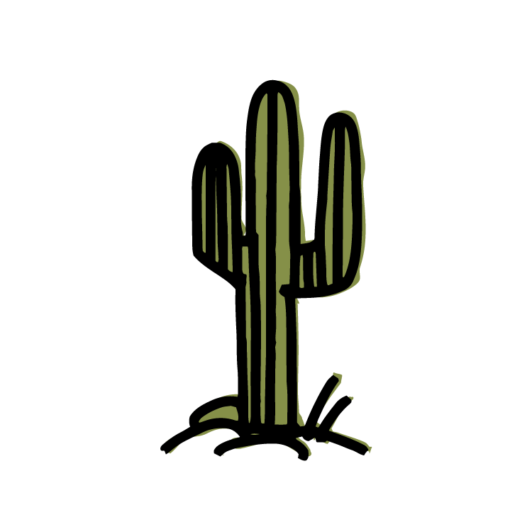 CIDER__cactus.png