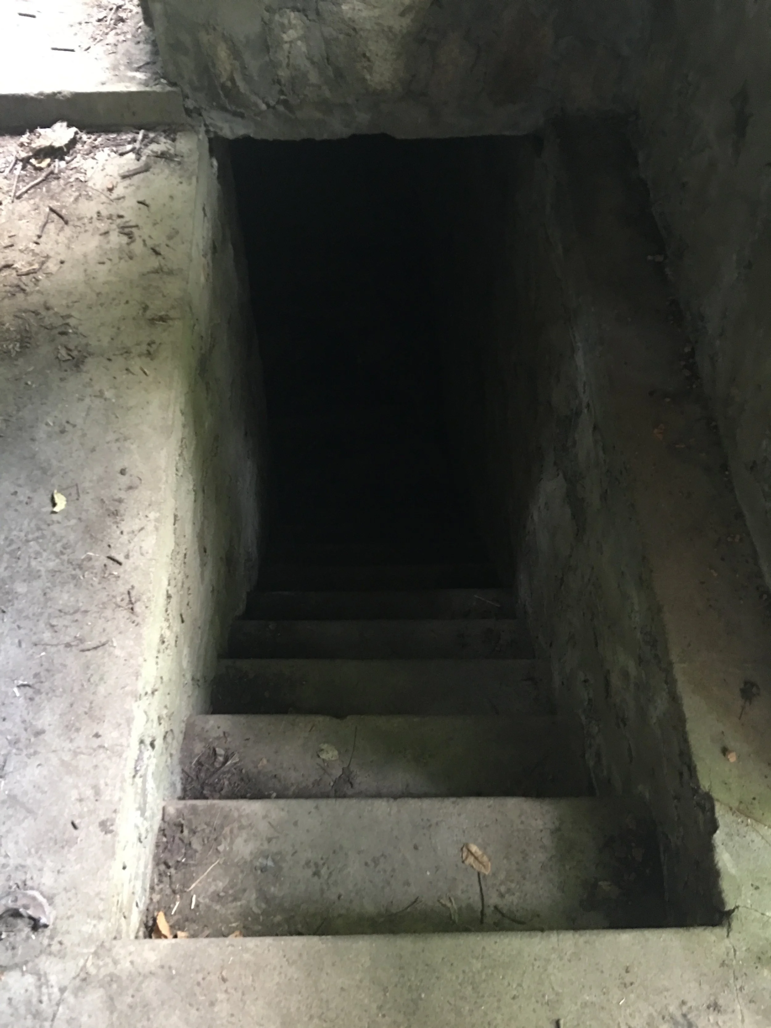 Uh, yeah . . . Would YOU have climbed down those stairs?
