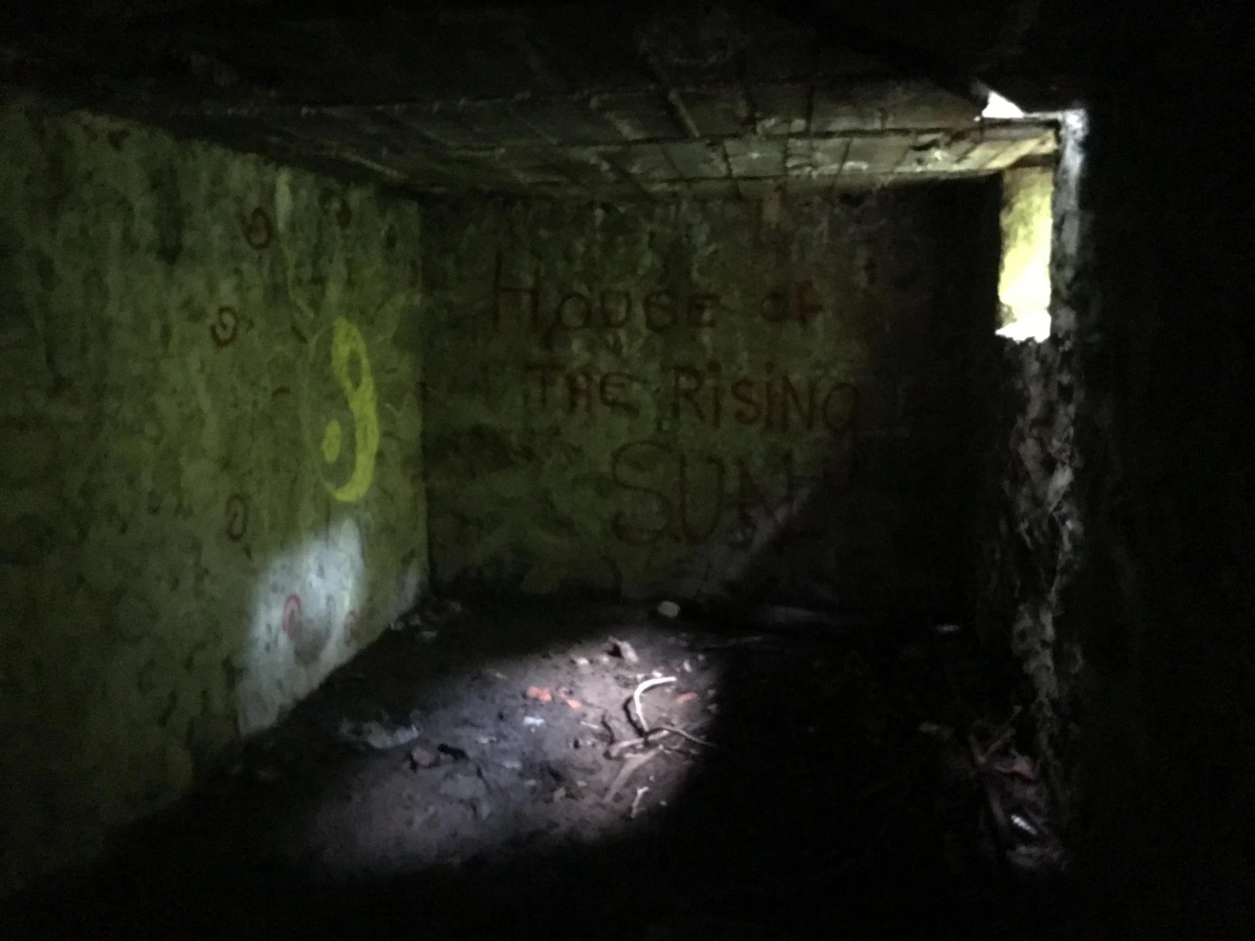 I did! And I found that someone had written HOUSE OF THE RISING SUN in red paint on the far wall . . . 