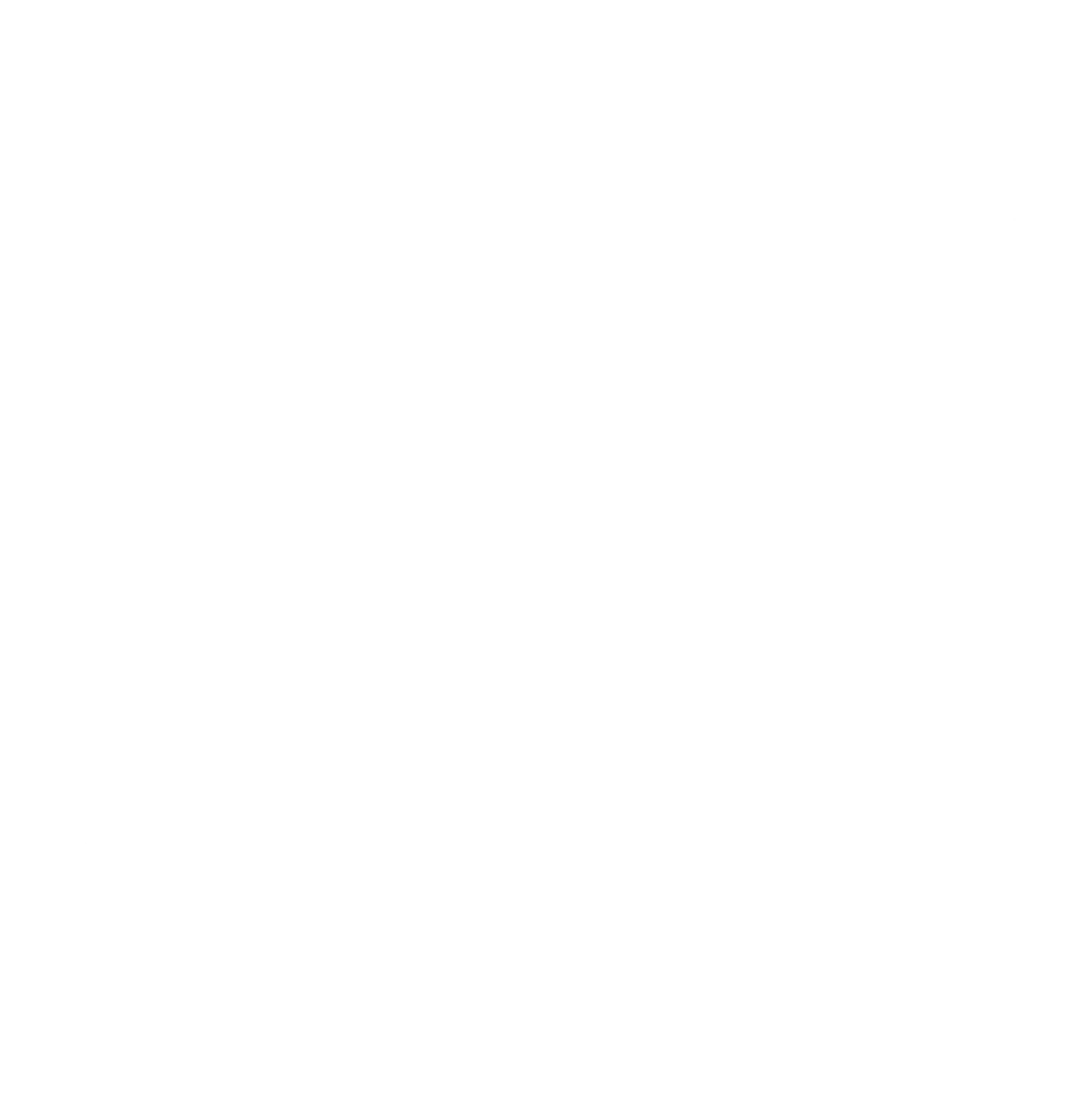 FN-USA-logo-white.png