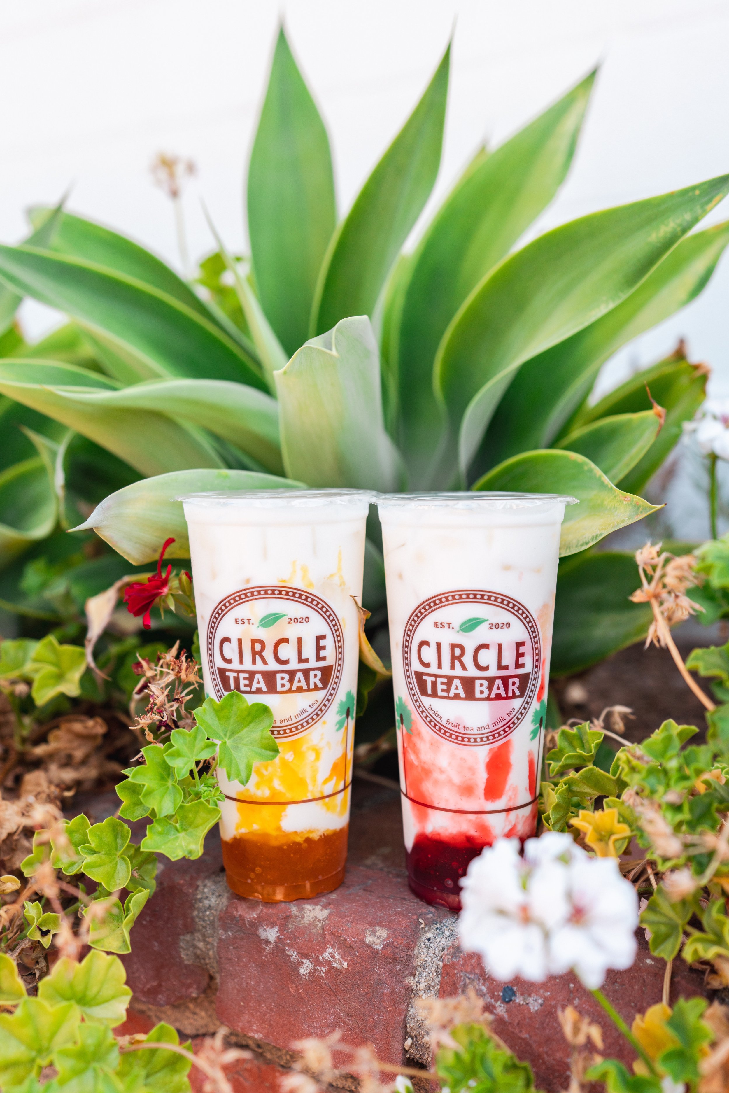 CircleTea-8.22-7.jpg