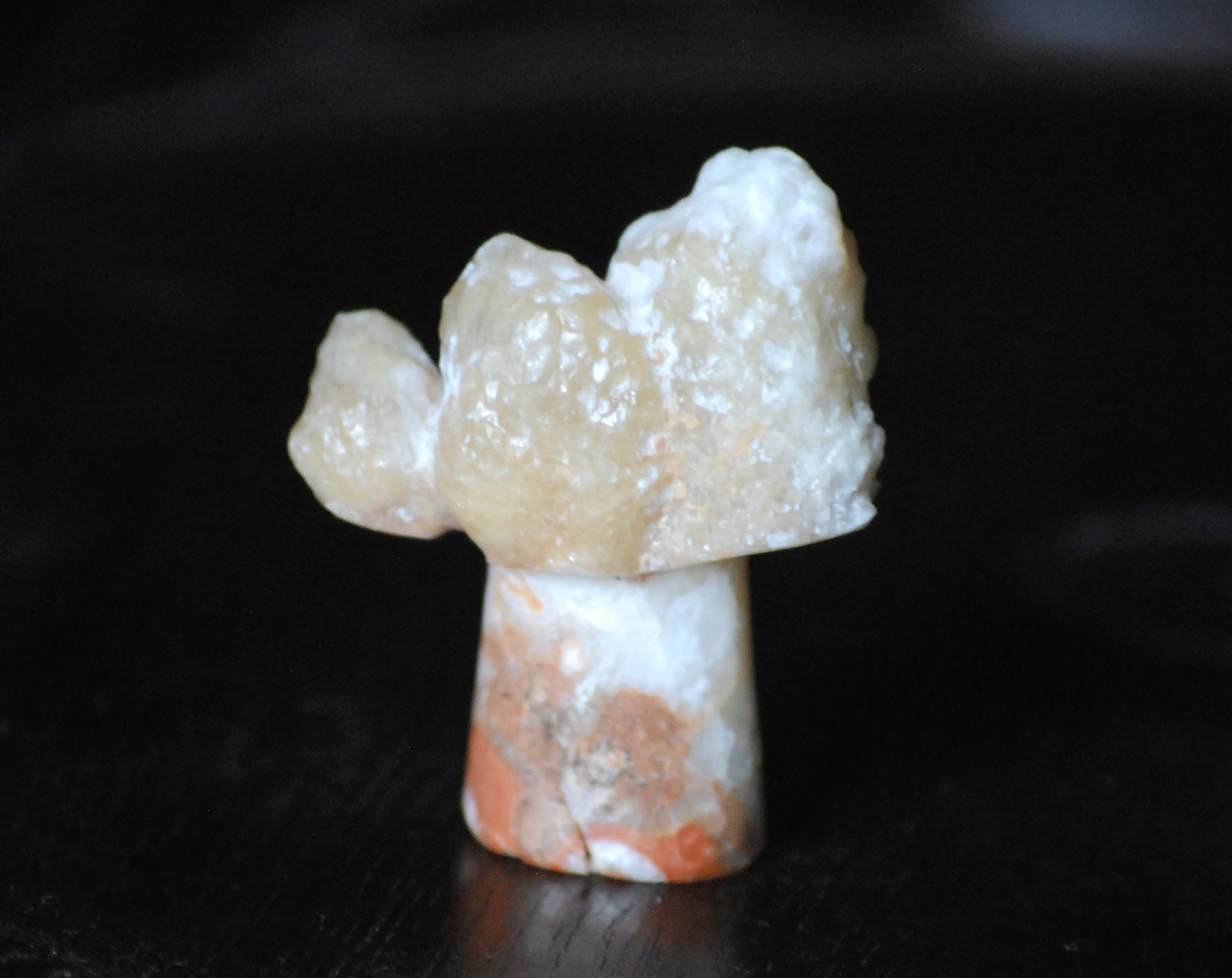 cpal-mushroom-onyx-small.png