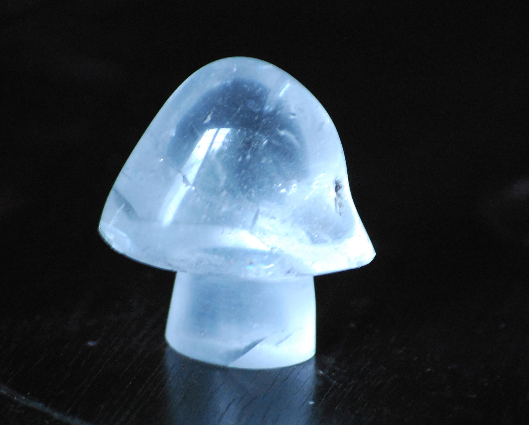 cpal-mushroom-clear-2.png