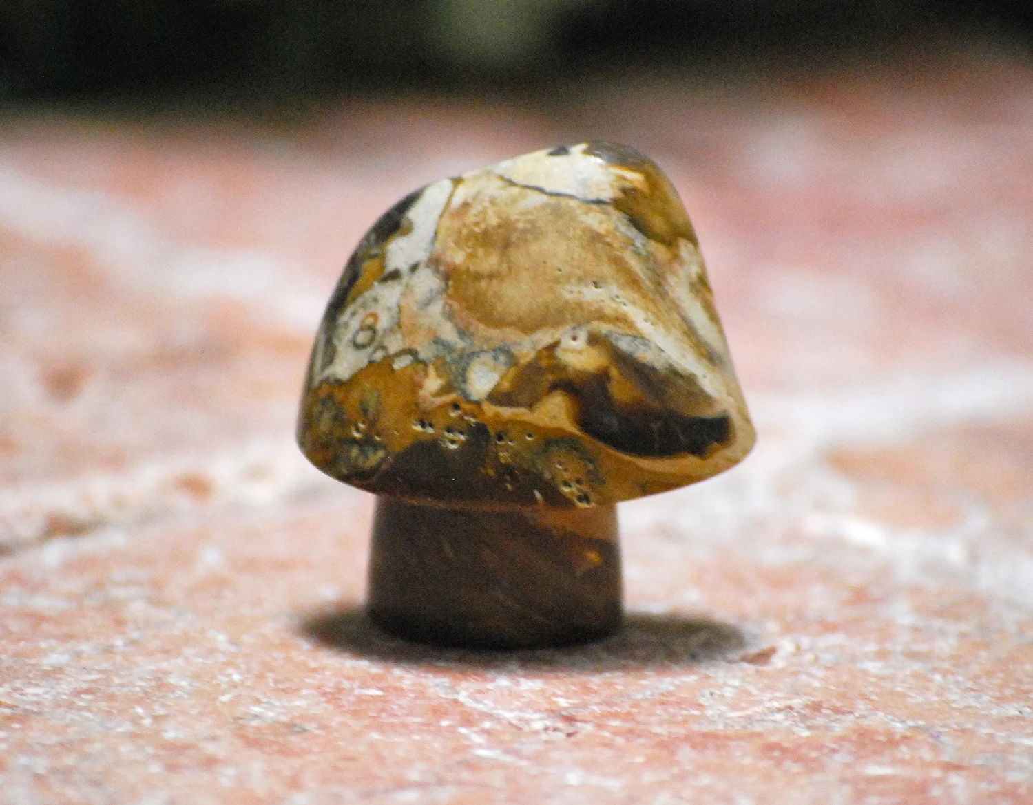 cpal-mushroom-brown-jasper-cropped.jpg