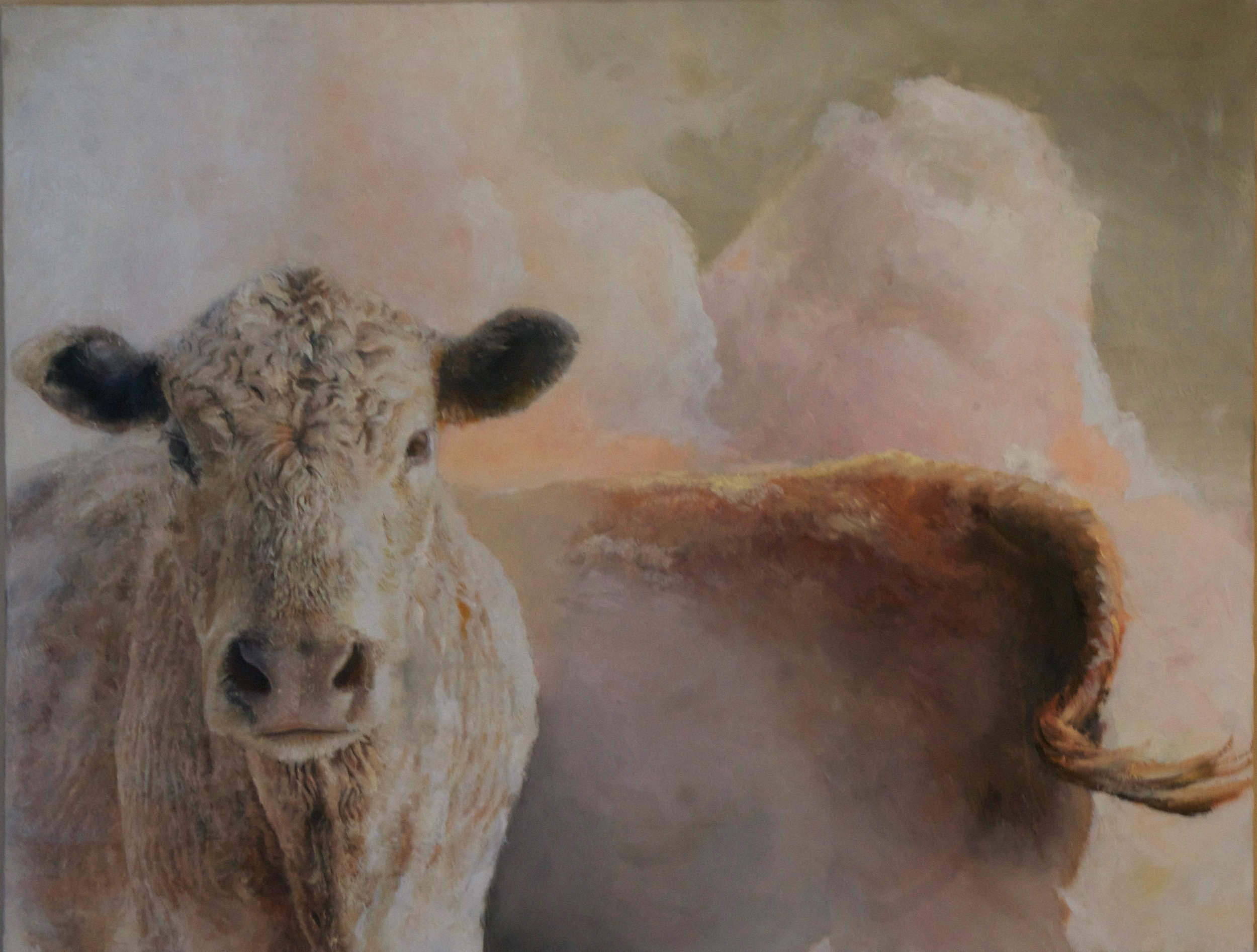 cow n bull finish.jpg