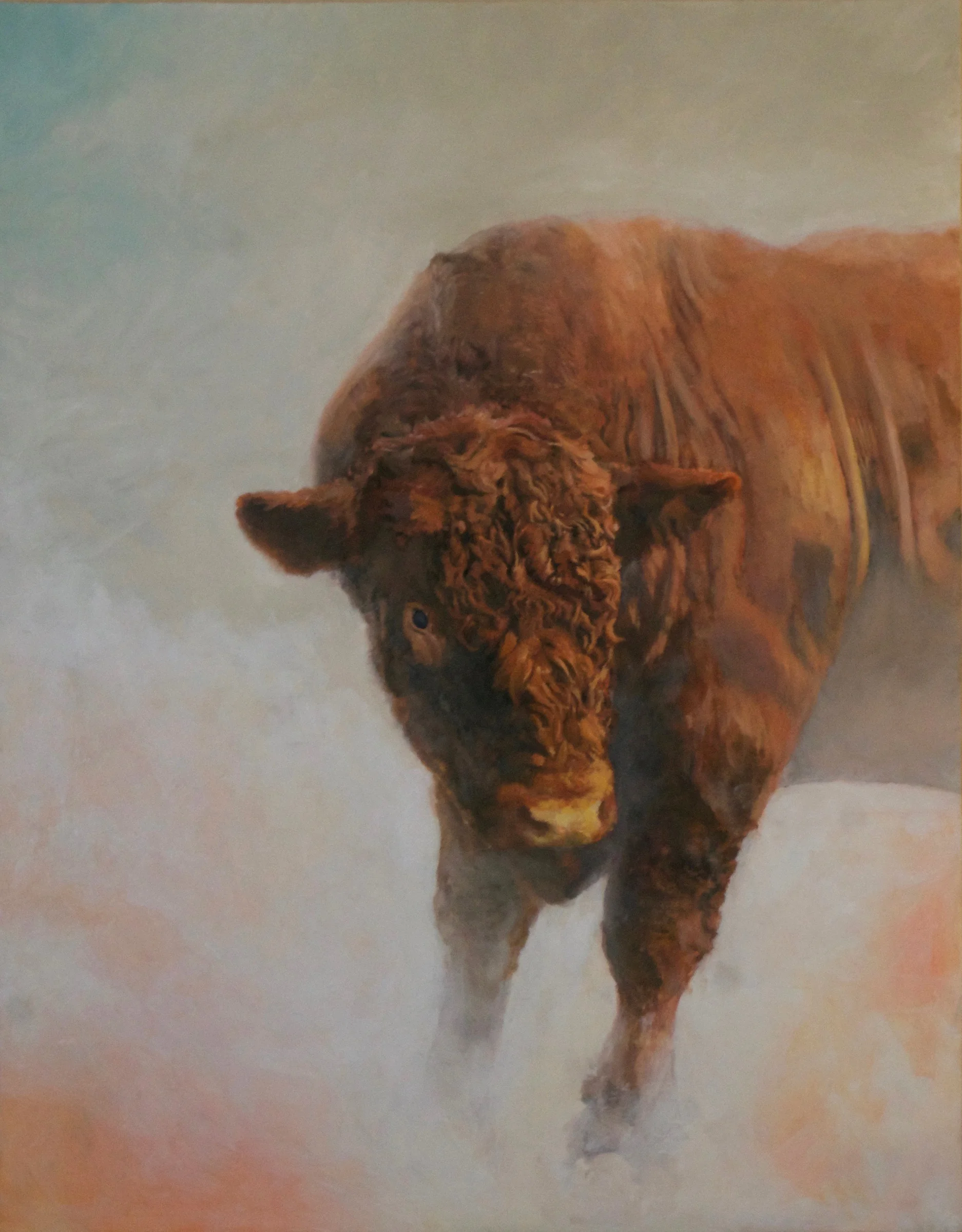 bull finis.jpg