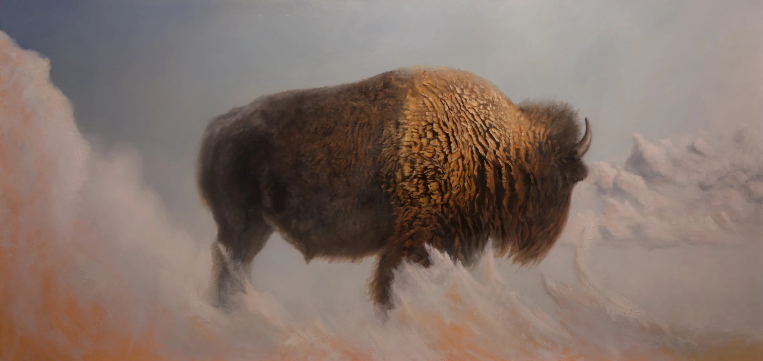bufffalo2.jpg