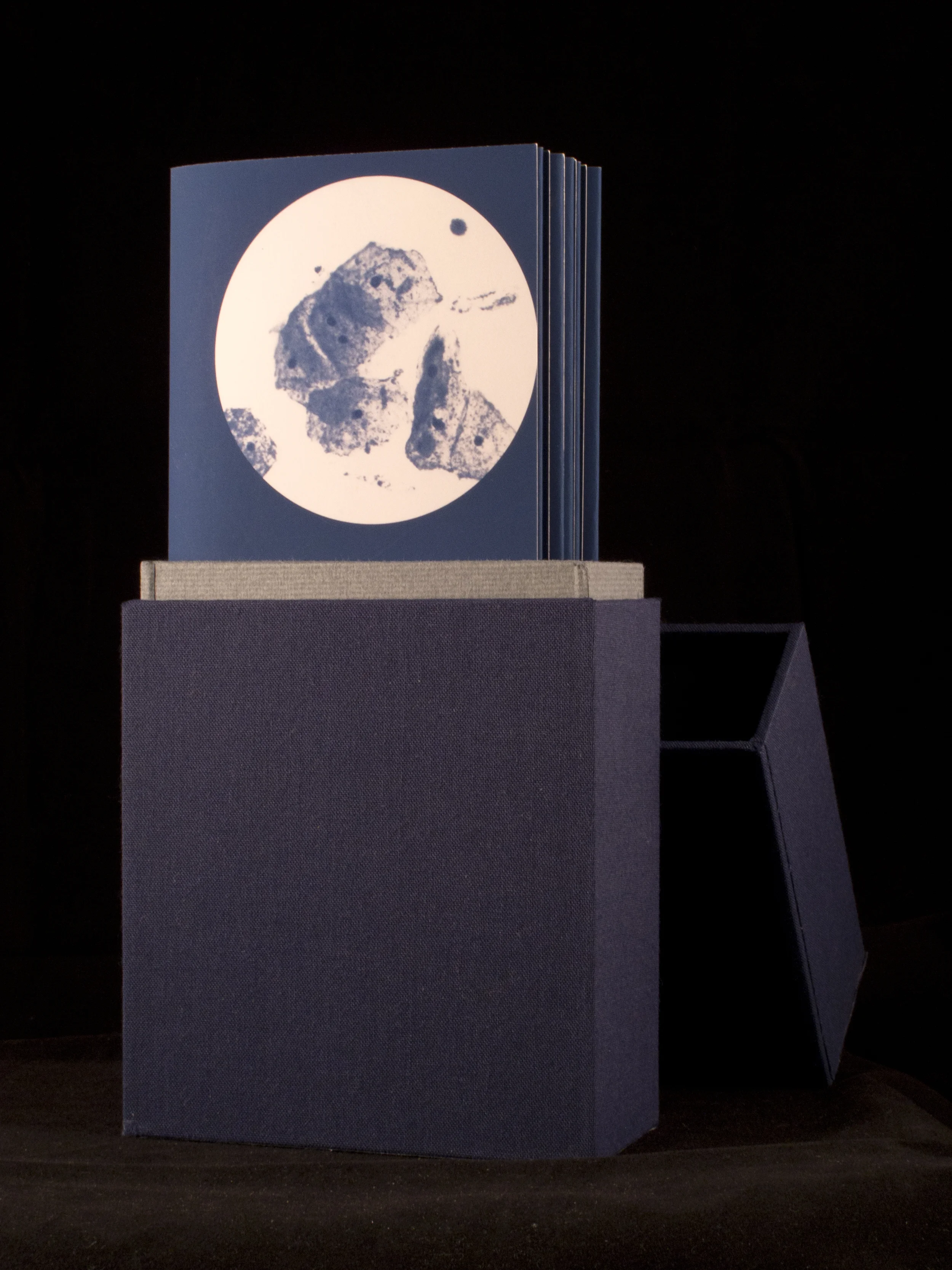 Artist Book (Trichinosis)