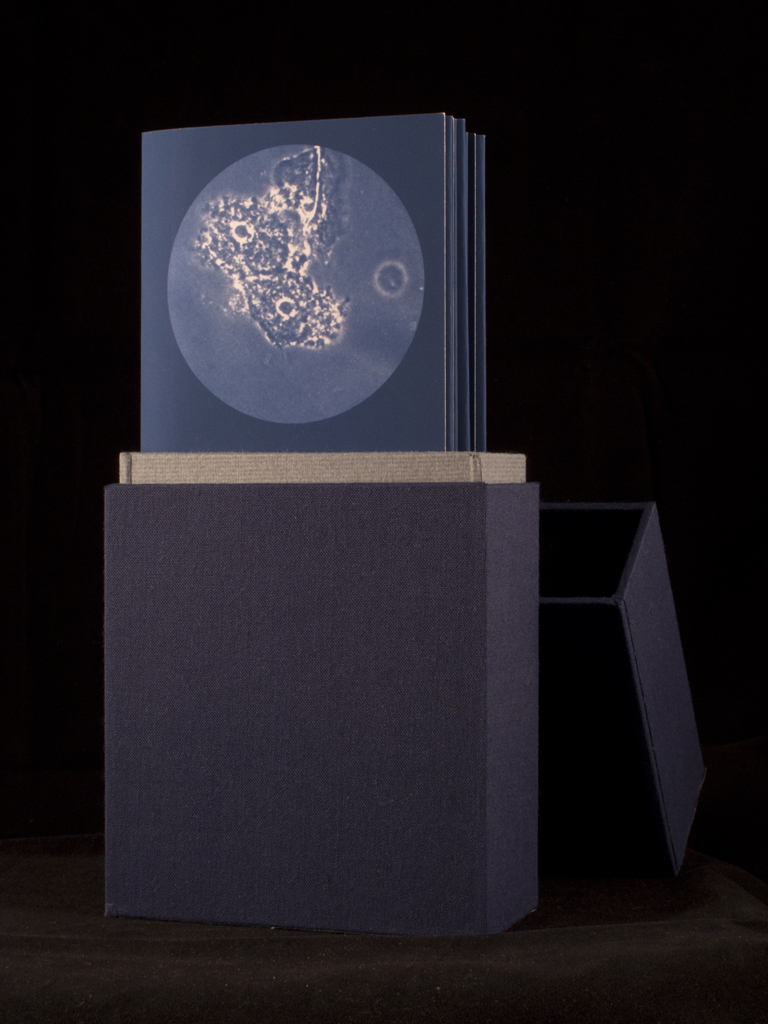 Artist Book (BV)