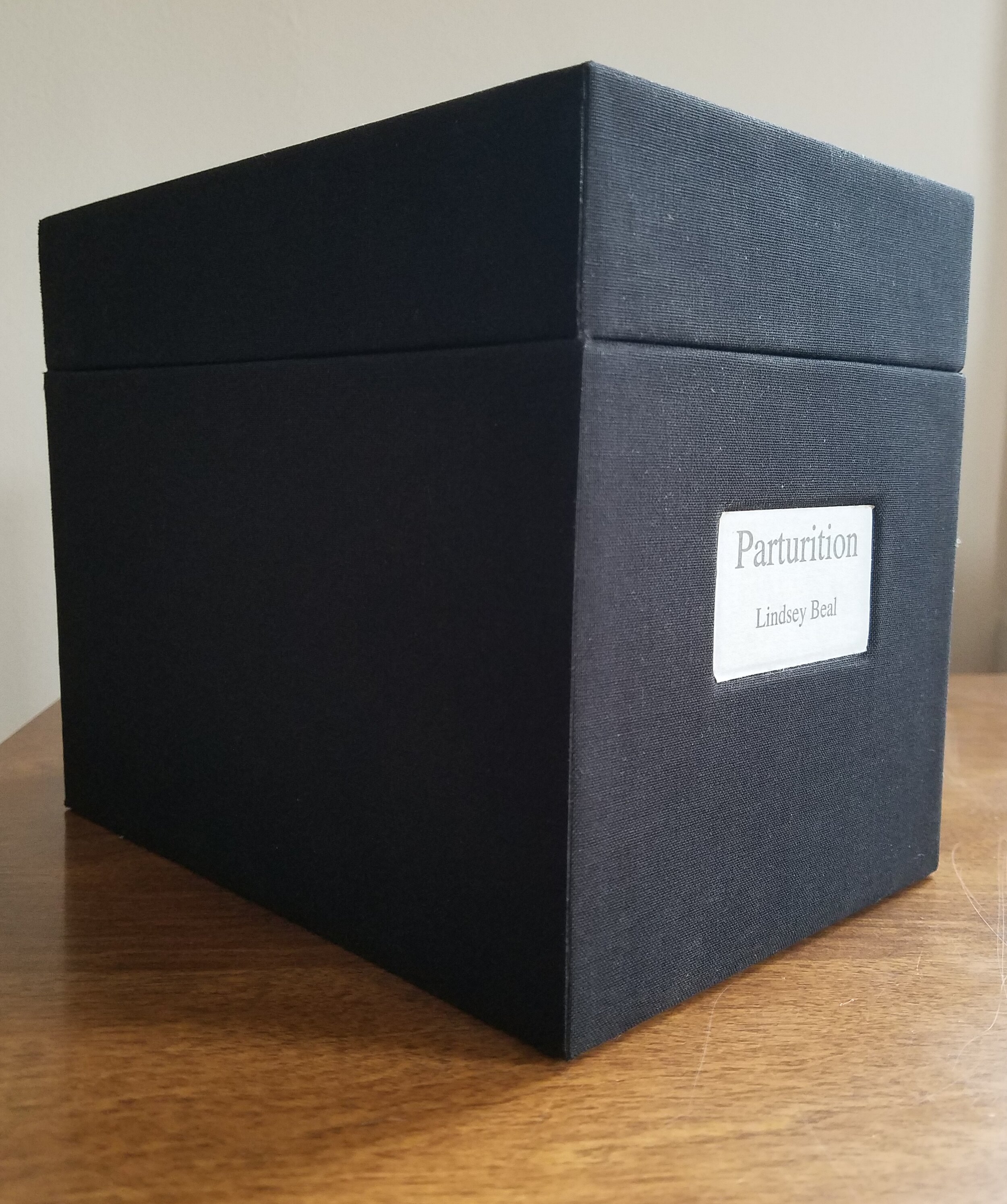 "Parturition" Slide Box (external)