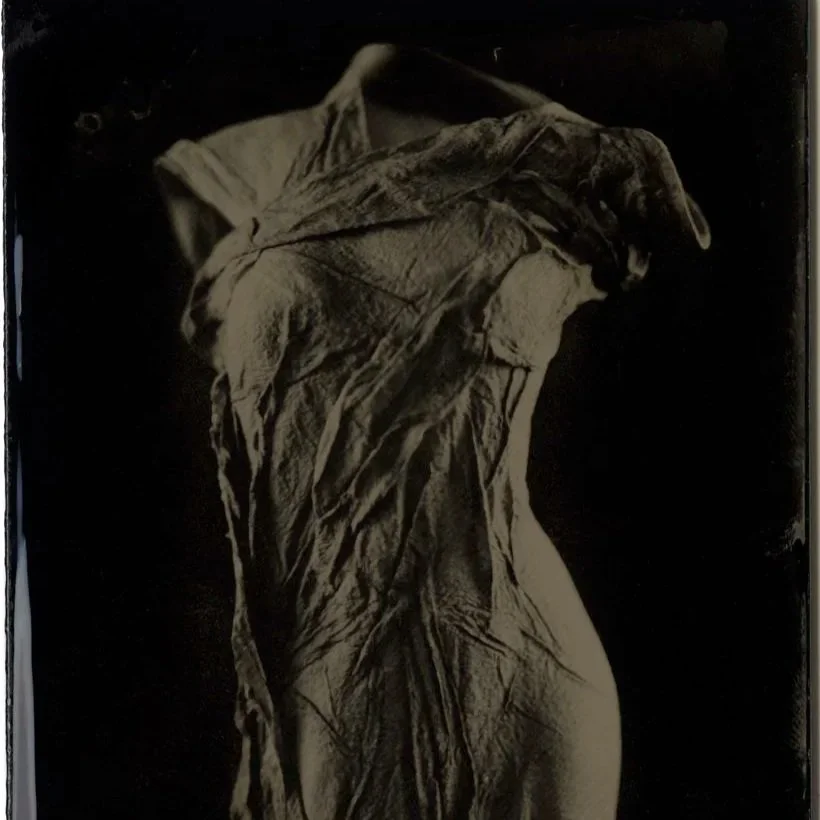 The Venus Series