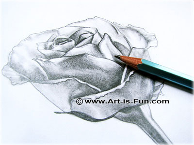 How to Draw A rose || Pencil Drawing and Shading - YouTube-saigonsouth.com.vn