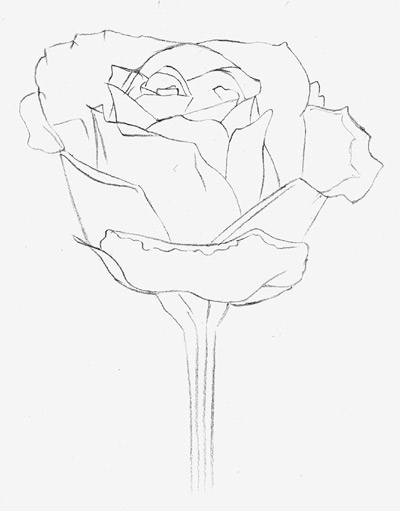 How To Draw a ROSE Easy - Unique Art Blogs-saigonsouth.com.vn